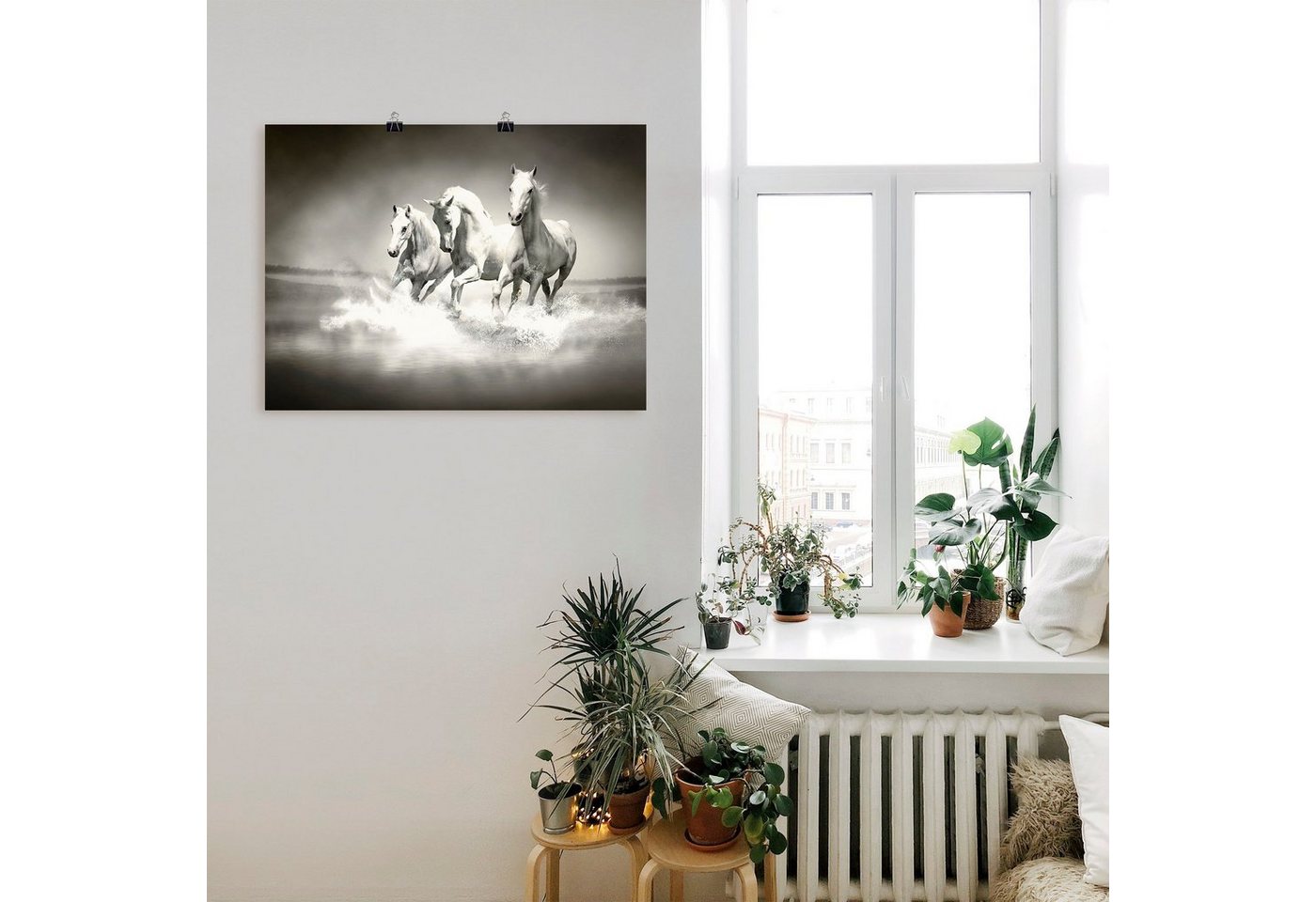 Artland Wandbild »Herde von weißen Pferden«, Haustiere (1 Stück), in vielen Größen & Produktarten - Alubild / Outdoorbild für den Außenbereich, Leinwandbild, Poster, Wandaufkleber / Wandtattoo auch für Badezimmer geeignet-HomeTrends