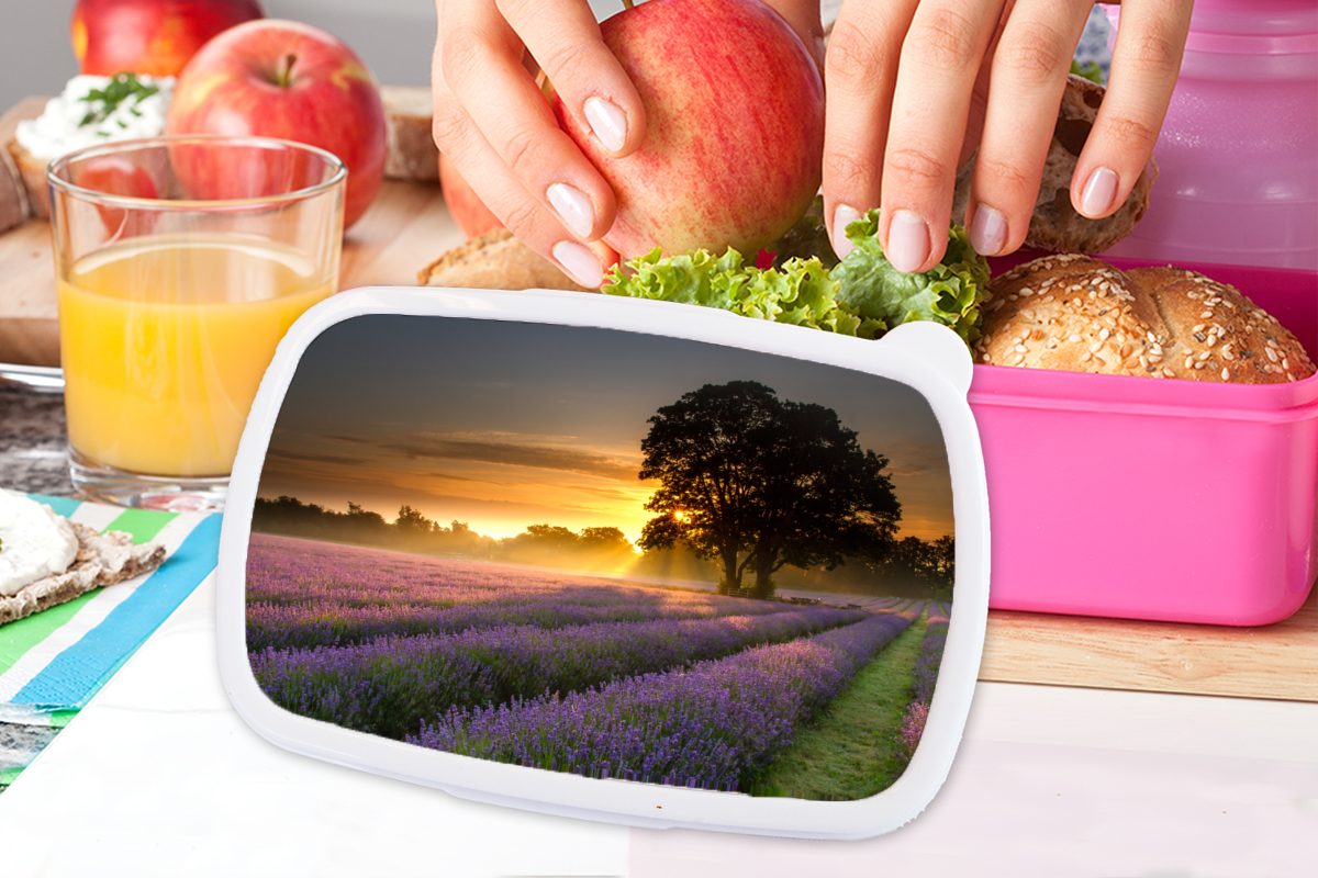 Snackbox, Mädchen, Maifeld-Lavendelfelder Kunststoff, Brotbox (2-tlg), rosa Sonnenaufgang, Kinder, für nebligem Brotdose bei Kunststoff Erwachsene, MuchoWow Lunchbox