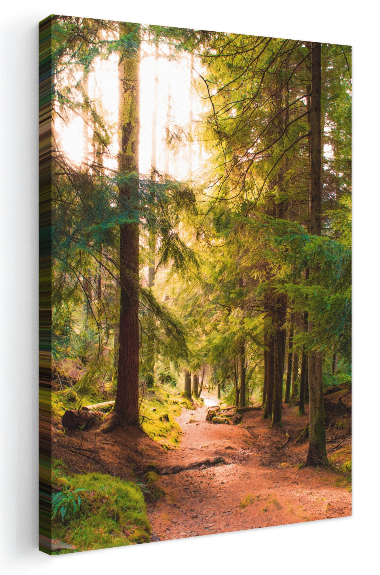 OneMillionCanvasses® Leinwandbild Wald - Weg - Bäume - Grün - Sonne - Natur, Fotodruck (1 St), Leinwand Canvas Wandbild, Wanddekoration 20x30 cm