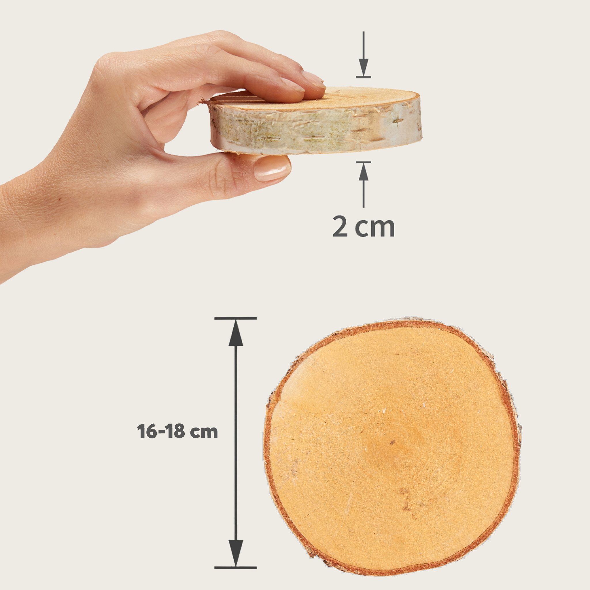 matches21 HOME & HOBBY Bastelnaturmaterial Kleine 16 cm Baumscheiben 2er Pack zum Holz-Deko Basteln, (2-tlg), runde Holzscheiben aus massivem EU Birkenholz