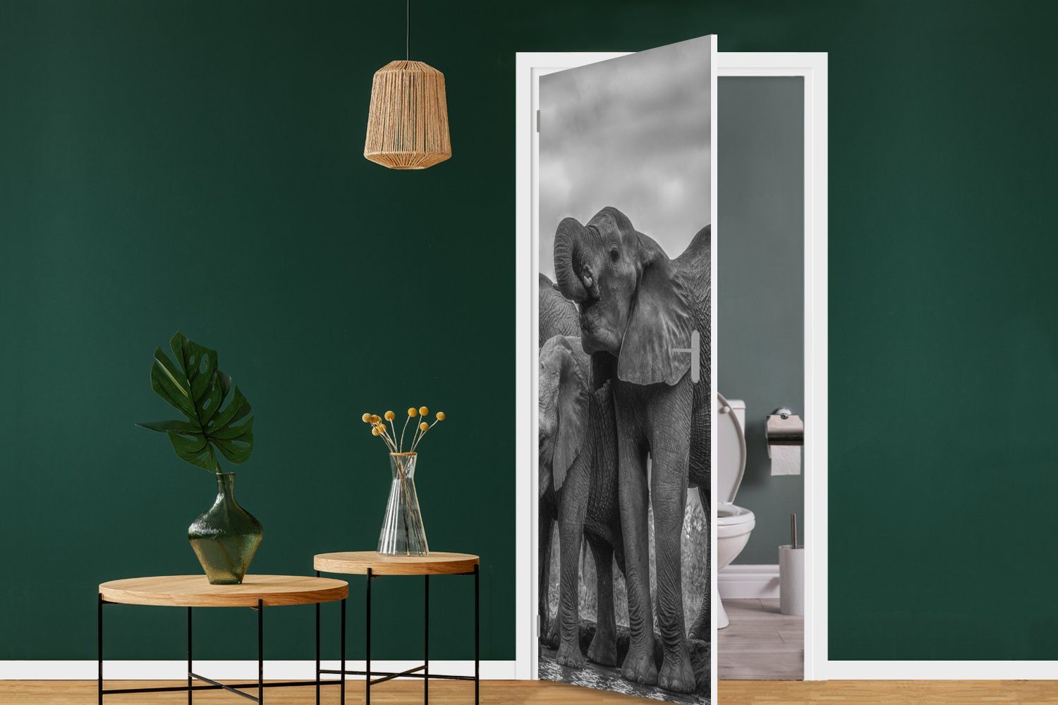 cm Türtapete Tür, weiß, St), Matt, - Fototapete MuchoWow - für Schwarz Tiere bedruckt, Türaufkleber, Wasser und (1 - Elefant 75x205