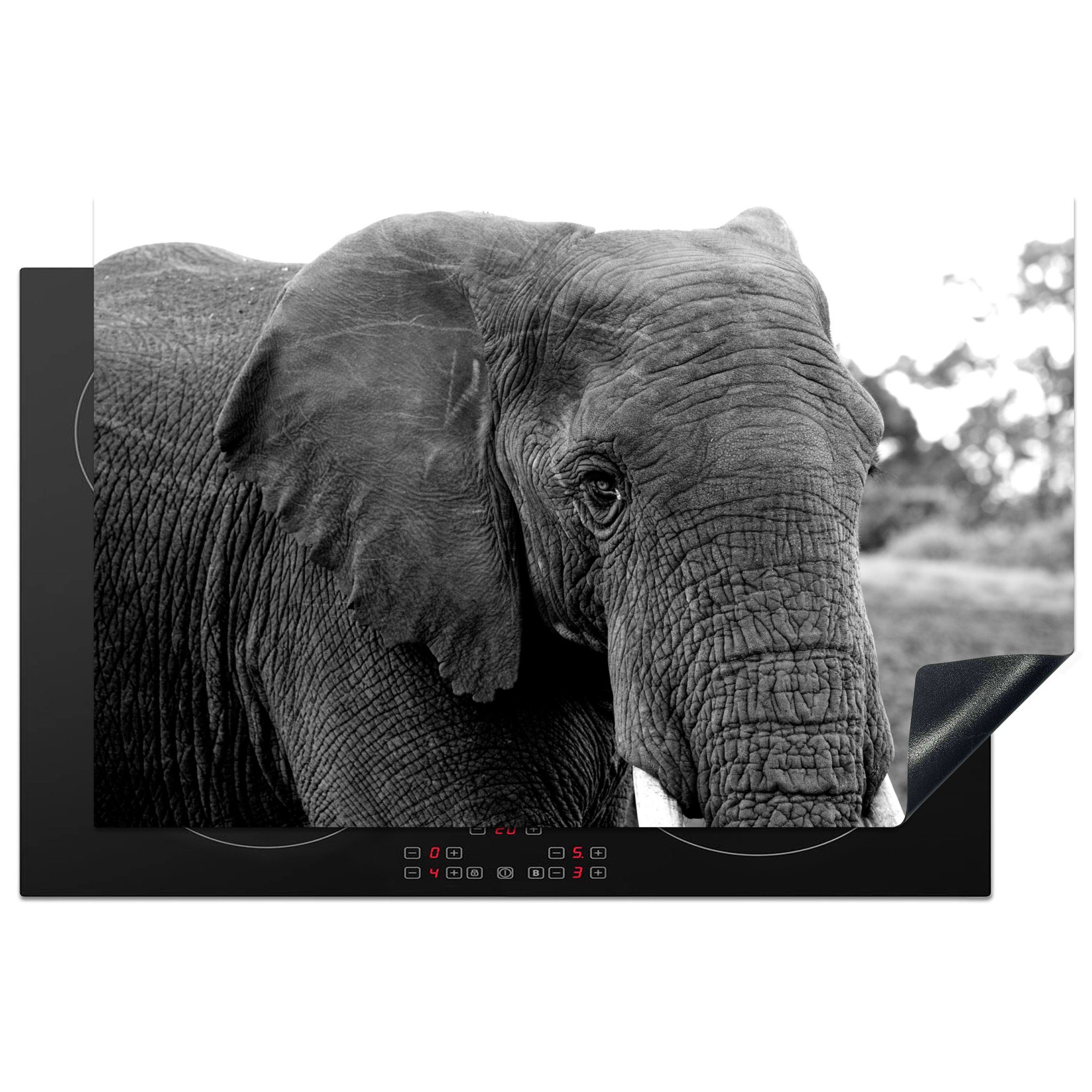 MuchoWow Herdblende-/Abdeckplatte Elefant 81x52 - die Tiere Weiß Schwarz tlg), - - Ceranfeldabdeckung cm, Vinyl, (1 - für Induktionskochfeld Natur, küche, Schutz