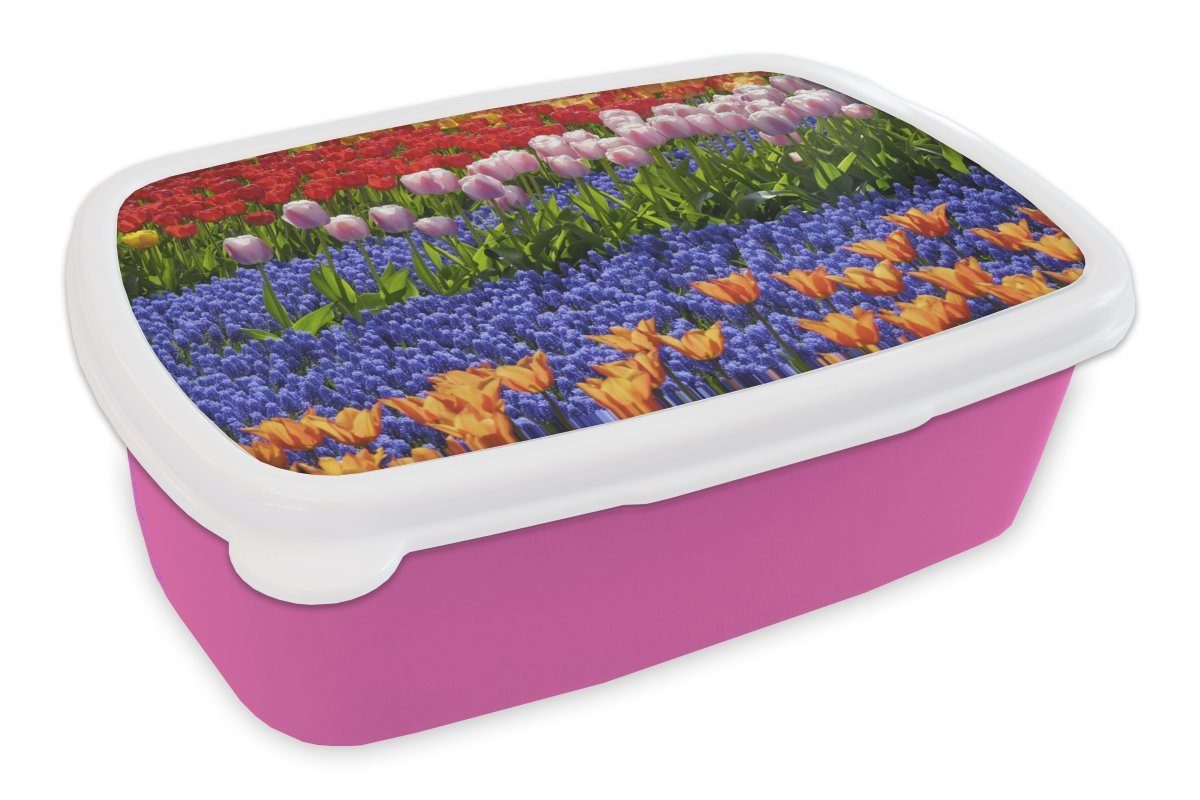 MuchoWow Lunchbox Bunte Tulpen und Hyazinthen auf dem Keukenhof in Südholland, Kunststoff, (2-tlg), Brotbox für Erwachsene, Brotdose Kinder, Snackbox, Mädchen, Kunststoff rosa