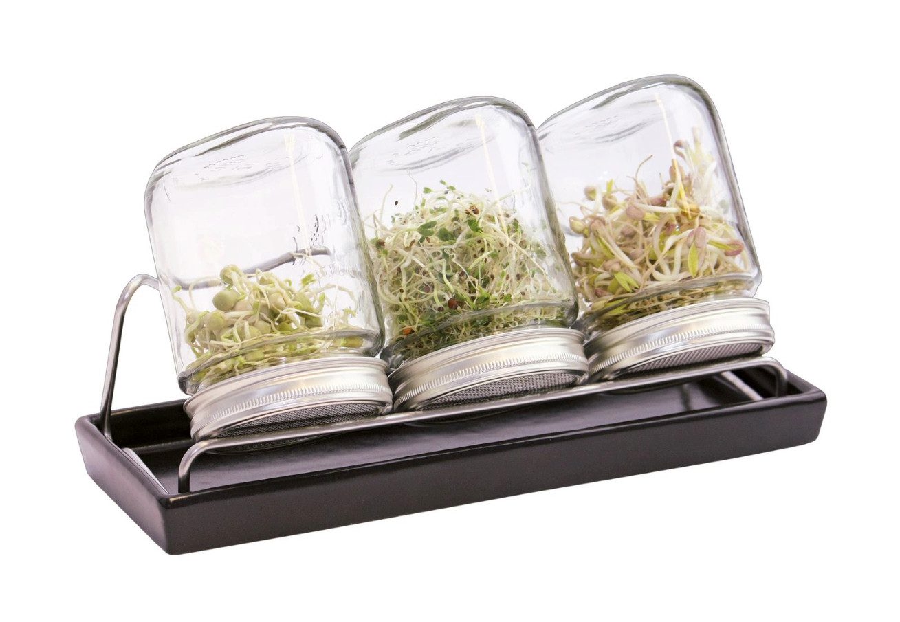 Eschenfelder Anzuchttablett Eschenfelder Sprossensystem in anthrazit mit 3 Gläser je 750 ml (3er Set)