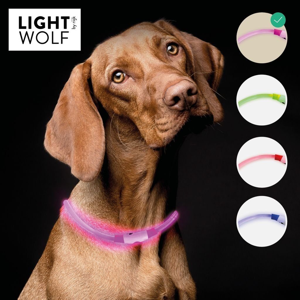 riijk Leuchthalsband LED Hundehalsband, Kunststoff, individuell einfach mit günstig online kaufen