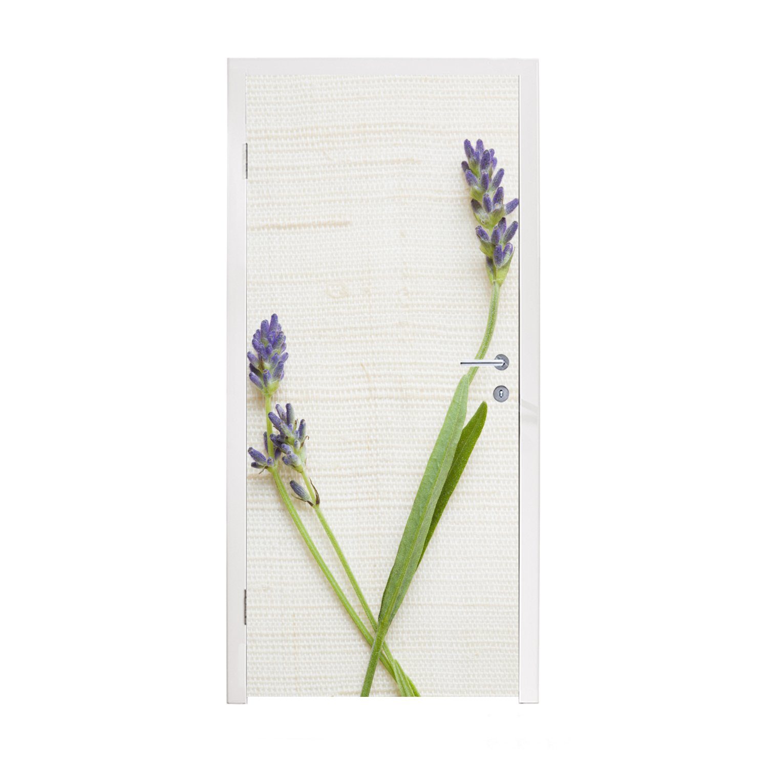 MuchoWow Türtapete Studioaufnahme von Lavendel, Matt, bedruckt, (1 St), Fototapete für Tür, Türaufkleber, 75x205 cm