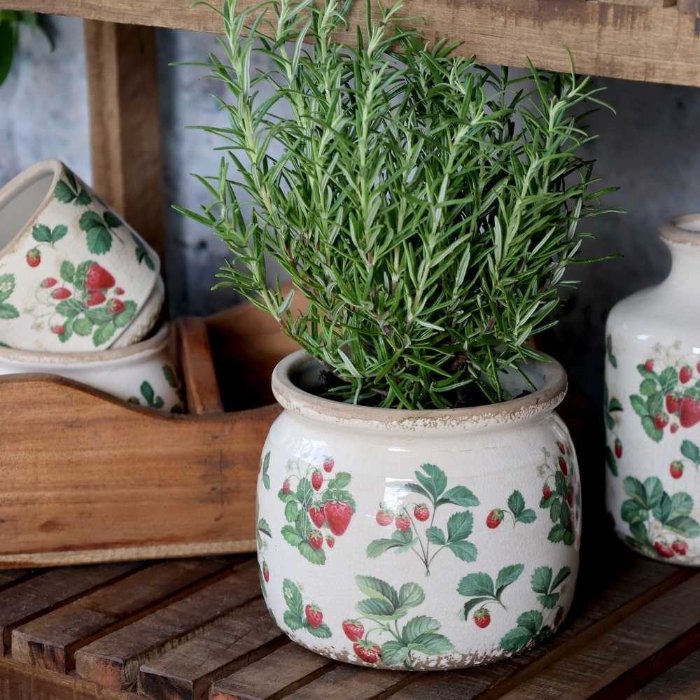 Chic Antique Blumentopf Chic Antique Blumentopf FRAISES Übertopf mit Erdbeeren 15x13 cm