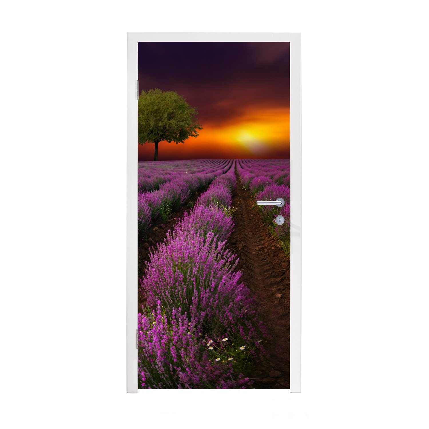 MuchoWow Türtapete Schönes Lavendelfeld an einem dunklen Abend mit Sonnenuntergang, Matt, bedruckt, (1 St), Fototapete für Tür, Türaufkleber, 75x205 cm