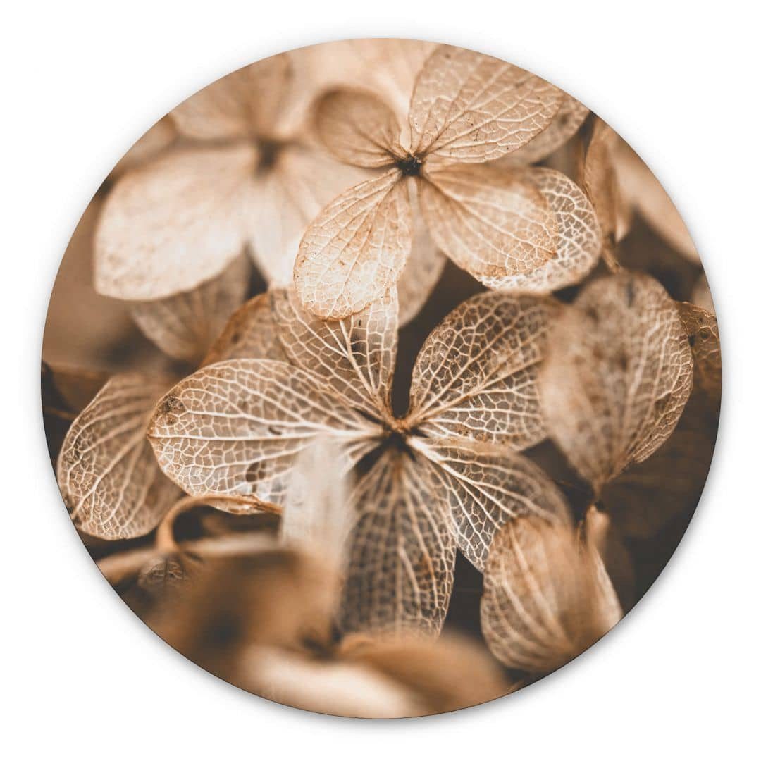 K&L Wall Art Gemälde Metallposter Rund günstig online kaufen