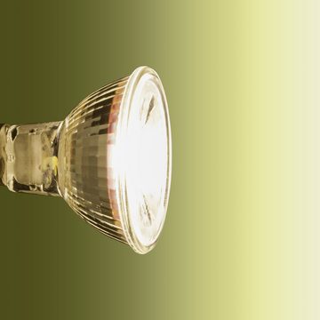 SEBSON LED-Leuchtmittel LED Lampe GU5.3/ MR16 warmweiss 5W Leuchtmittel Spot 12V- 10er Pack