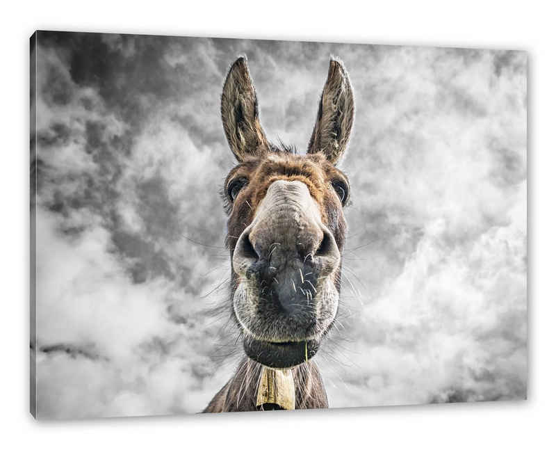 Pixxprint Leinwandbild Lustiger Esel, Lustiger Esel (1 St), Leinwandbild fertig bespannt, inkl. Zackenaufhänger