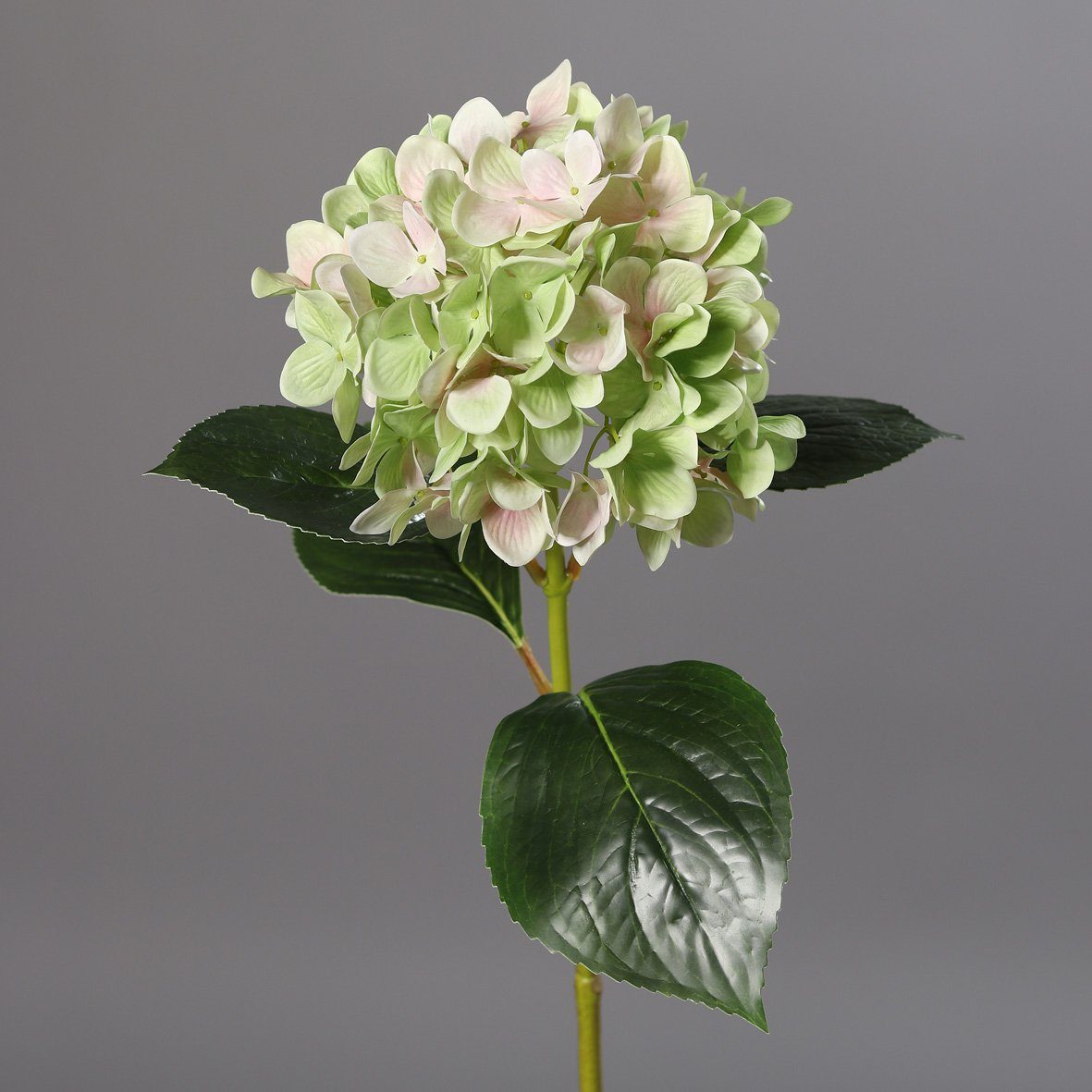 DPI grün-rosé, Wunderschöne Hortensie Kunstblume L67 Kunstblume cm