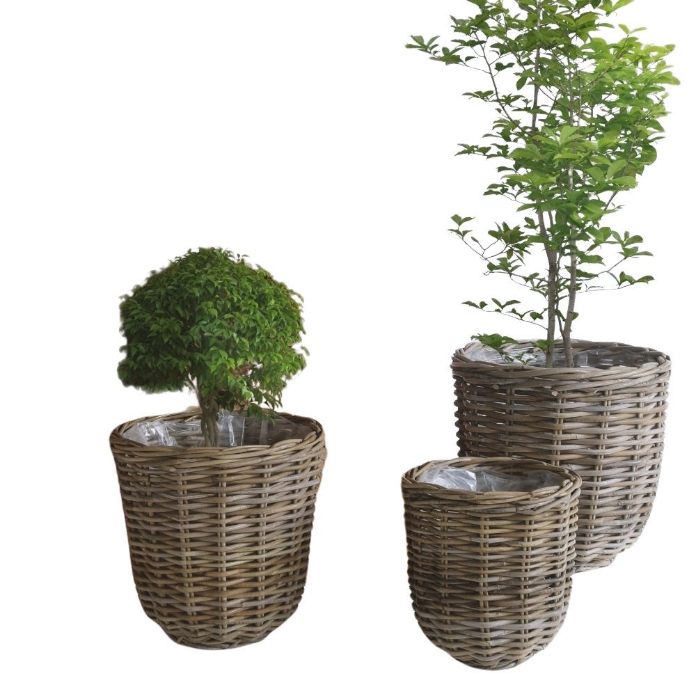 Pflanzschale Natur Rattan Pflanzkorb BORKUM Kubu Grey ca.40cm Pflanztopf