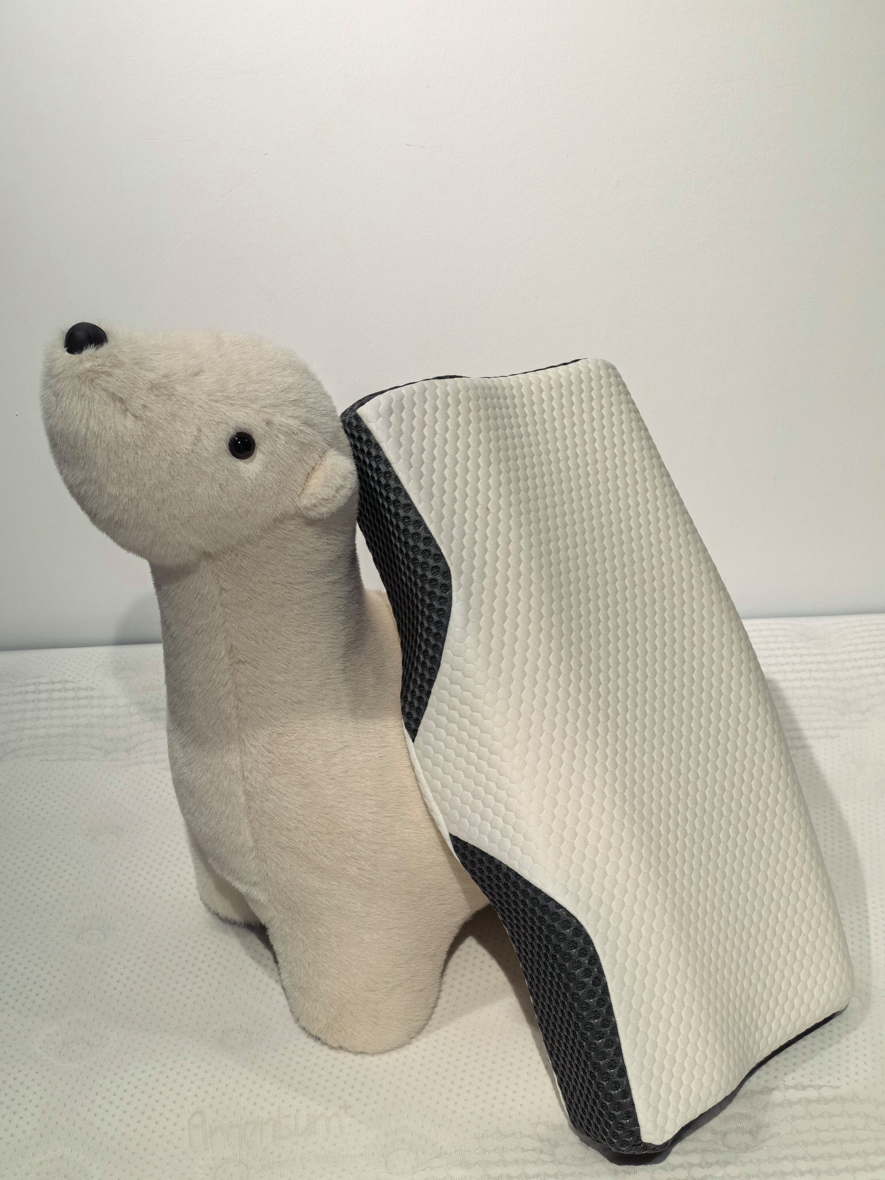Esun Kopfkissen Orthopädisches Nackenkissen, Nackenstützkissen Seitenschläferkissen, Füllung: 100% Memory Foam, Set, atmungsaktiv und weich Ergonomisches Nackenstützkissen, Ergonomisches Kopfkissen