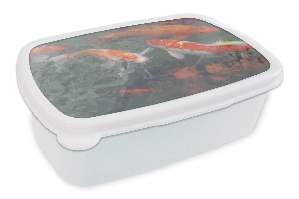 MuchoWow Lunchbox Mehrere Koi-Karpfen, Kunststoff, (2-tlg), Brotbox für Kinder und Erwachsene, Brotdose, für Jungs und Mädchen weiß