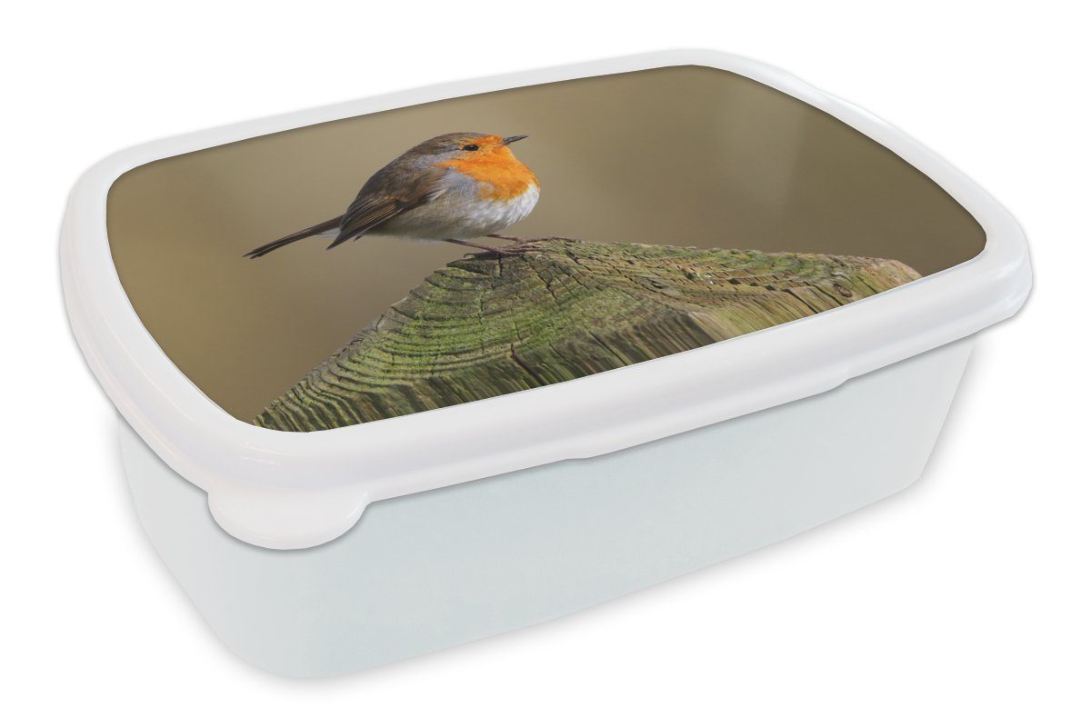 MuchoWow Lunchbox Vogel - Rotkehlchen - Holz, Kunststoff, (2-tlg), Brotbox für Kinder und Erwachsene, Brotdose, für Jungs und Mädchen weiß