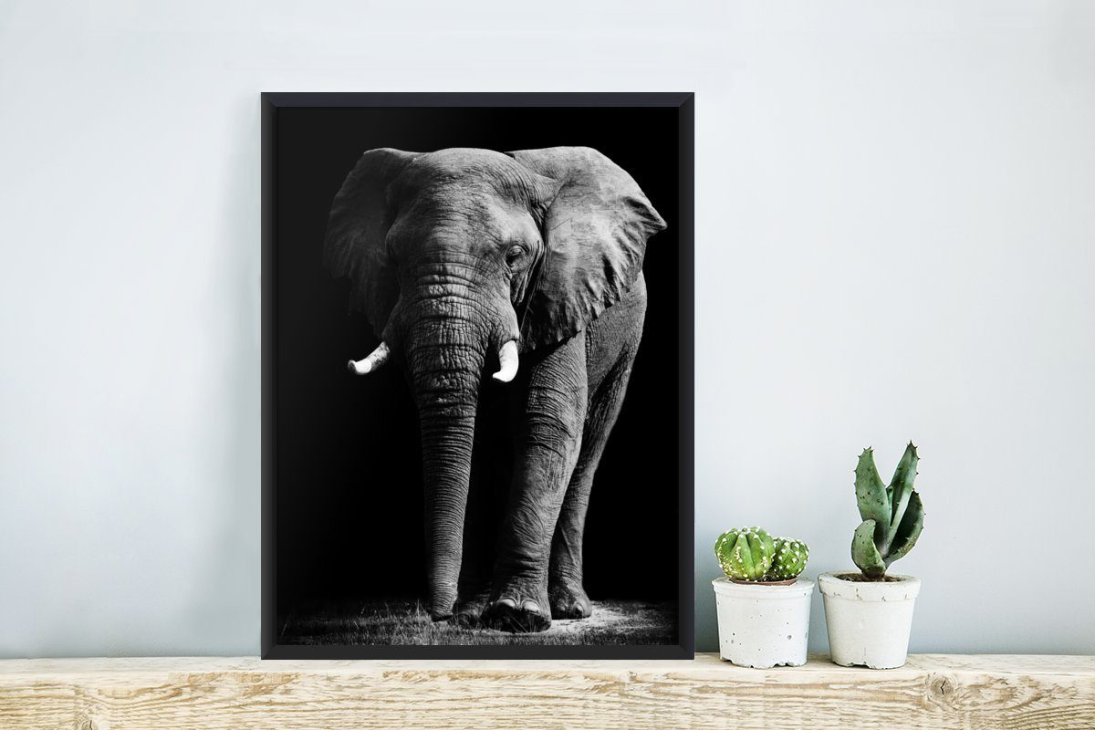 Schwarzem Wandposter, Elefant Bilderrahmen (1 Gerahmtes Schwarz Bilder, - Weiß Poster, MuchoWow Poster Wanddeko, - Wilde St), - Tiere,