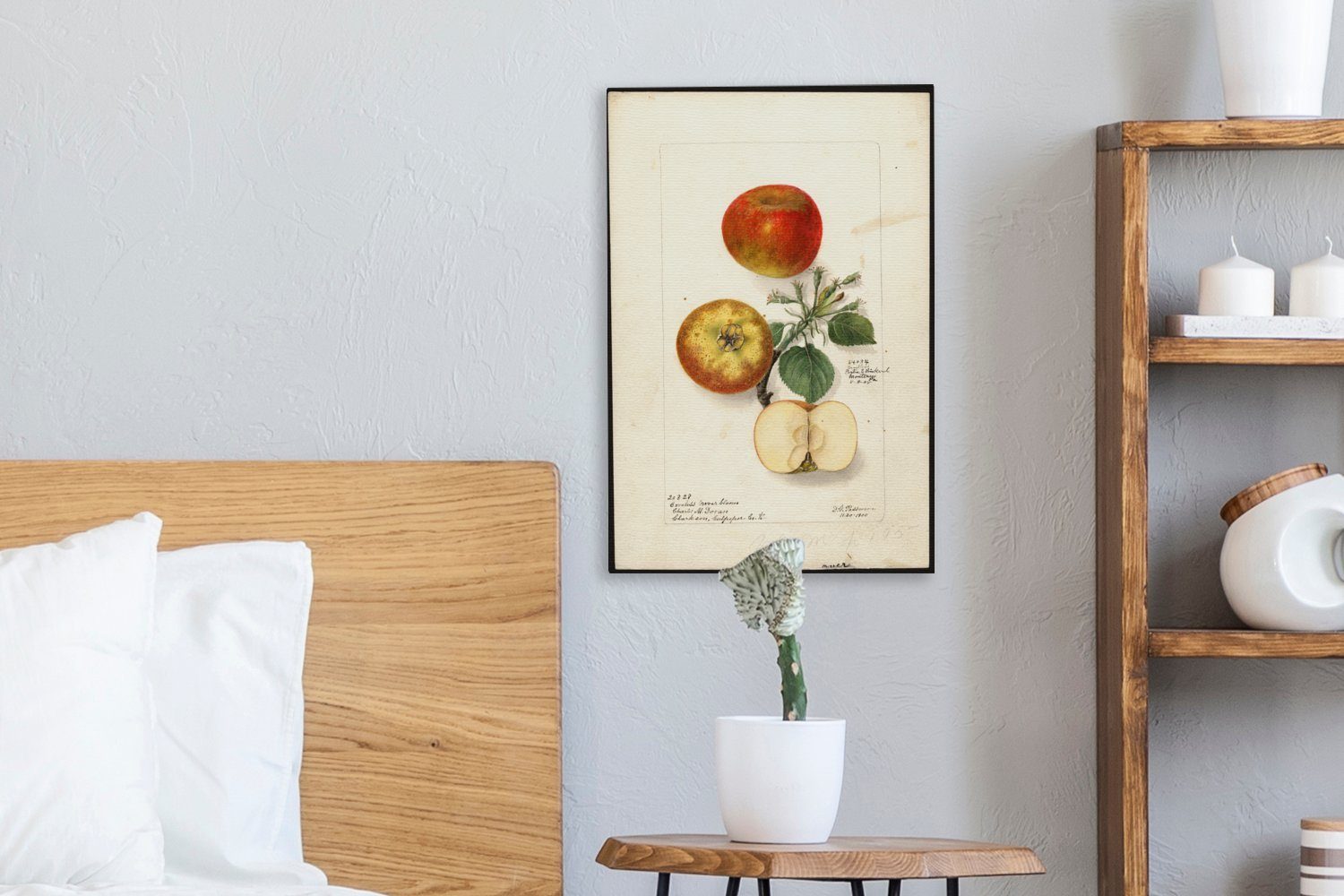 Äpfel (1 Deborah bespannt Griscom fertig Gemälde 20x30 - St), von inkl. Gemälde, Leinwandbild Zackenaufhänger, Leinwandbild Passmore, OneMillionCanvasses® cm