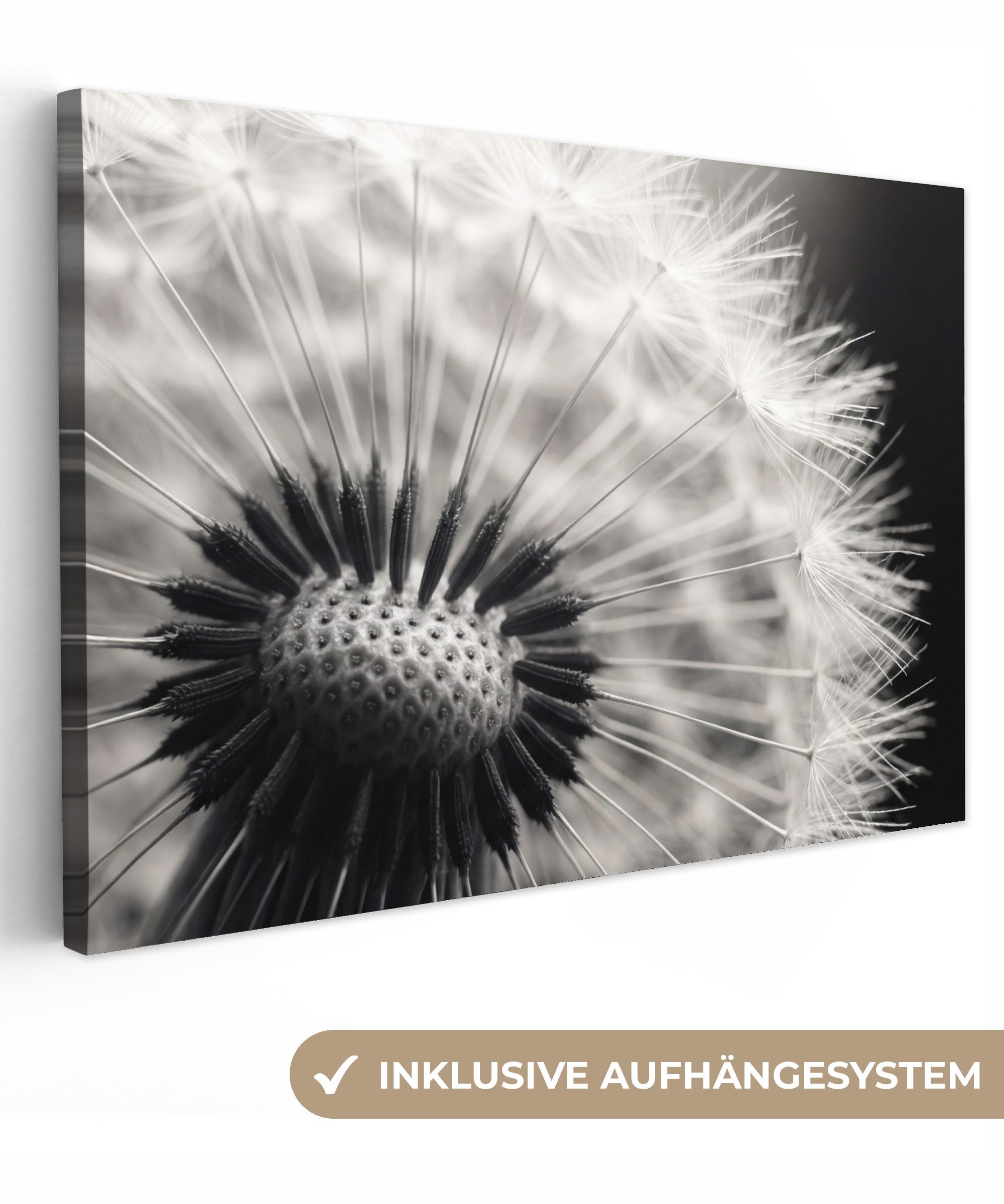 OneMillionCanvasses® Leinwandbild Pusteblume - Schwarz - Weiß, Fotodruck (1 St), Leinwand Bilder Klein, Wand Dekoration Aesthetic 30x20 cm