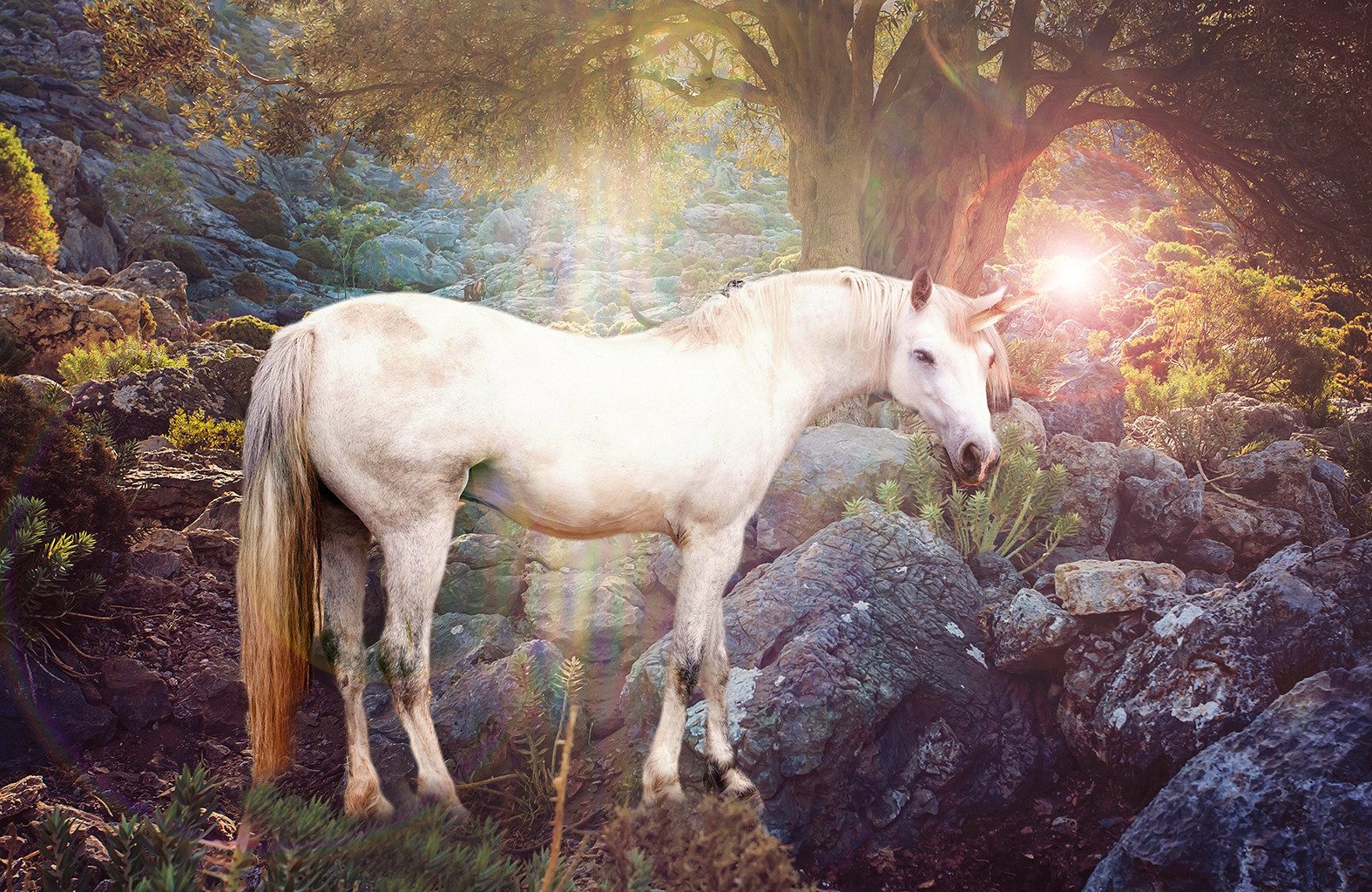 Papermoon Fototapete VLIES-Tapete Premium "Einhorn", Kleister KOSTENLOS, reduziert, 3D-Effekt, restlos trocken abziehbar, (5759), Wandtapete Bild Dekoration Wand-Dekor Motiv Tapete Poster