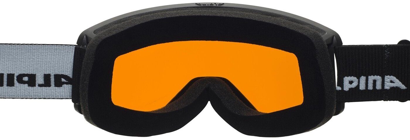 Alpina Sports Skibrille ALPINA NARKOJA DH
