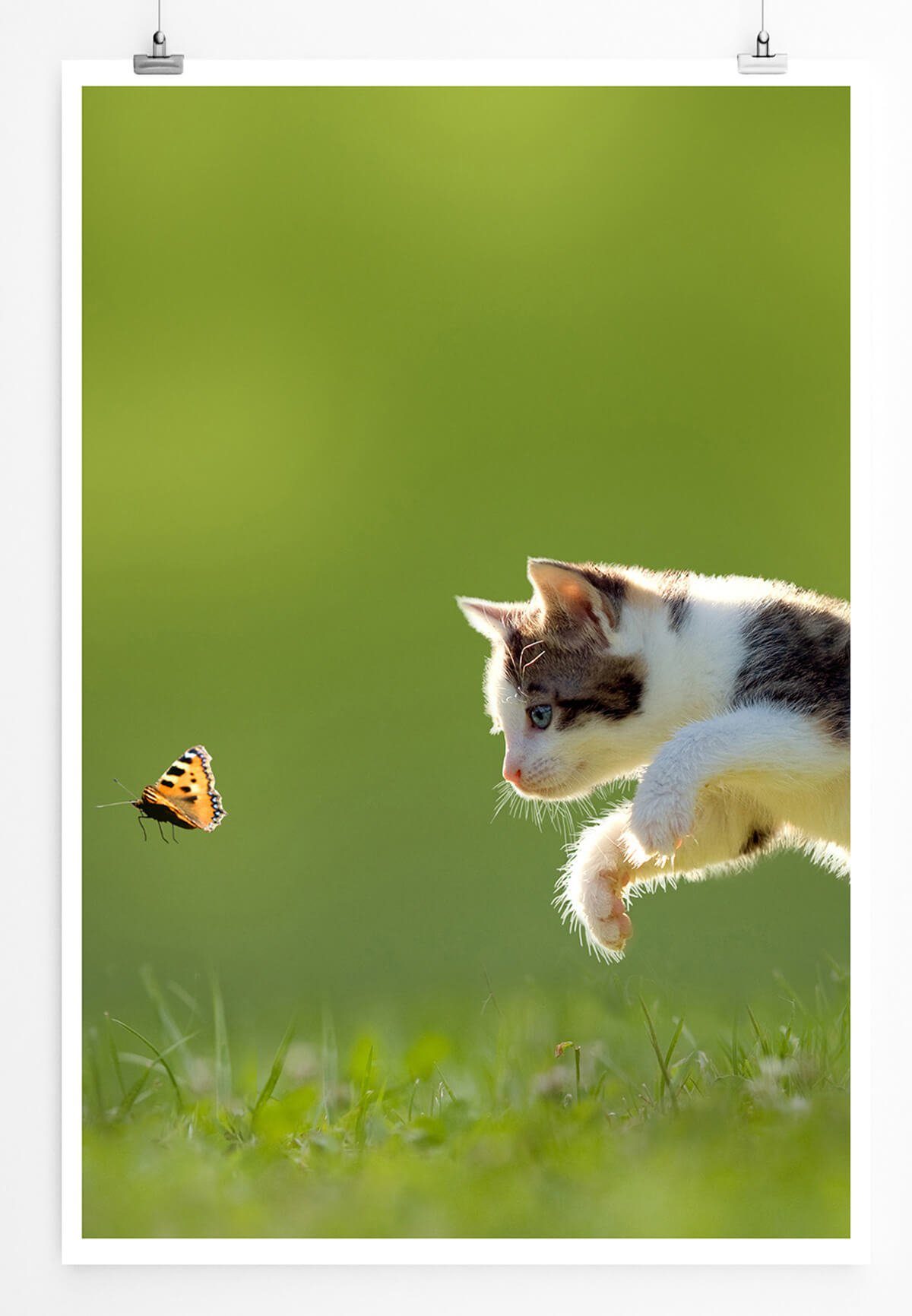 Sinus Art Poster Tierfotografie 60x90cm Poster Kätzchen auf der Jagd nach Schmetterling