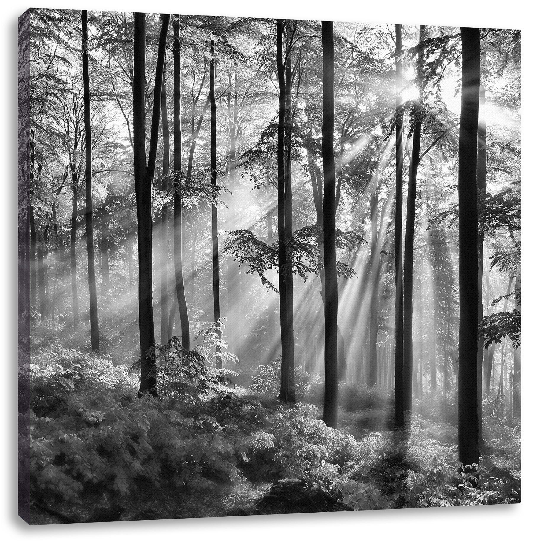 Pixxprint Leinwandbild Sonnenstrahlen im Wald, Sonnenstrahlen im Wald (1 St), Leinwandbild fertig bespannt, inkl. Zackenaufhänger