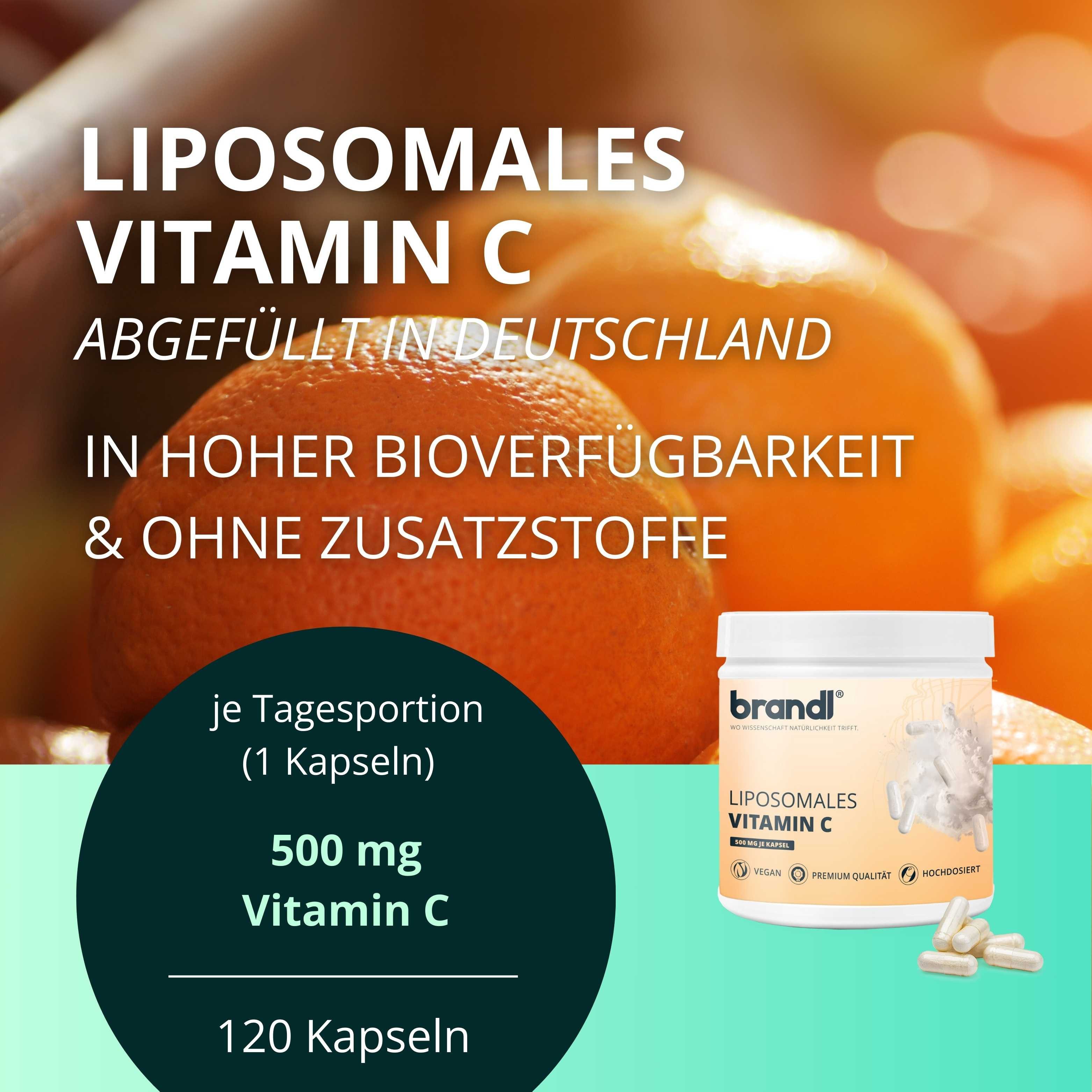 Brandl Nutrition Liposomales Vitamin C (Ascorbinsäure) - Hohe Bioverfügbarkeit, vegan Kapseln, Vitamin C Kapseln 500mg - unabhängig laborgeprüft, vegan