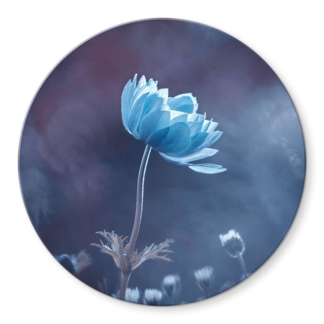 K&L Wall Art Glasbild Glas Wandbild günstig online kaufen