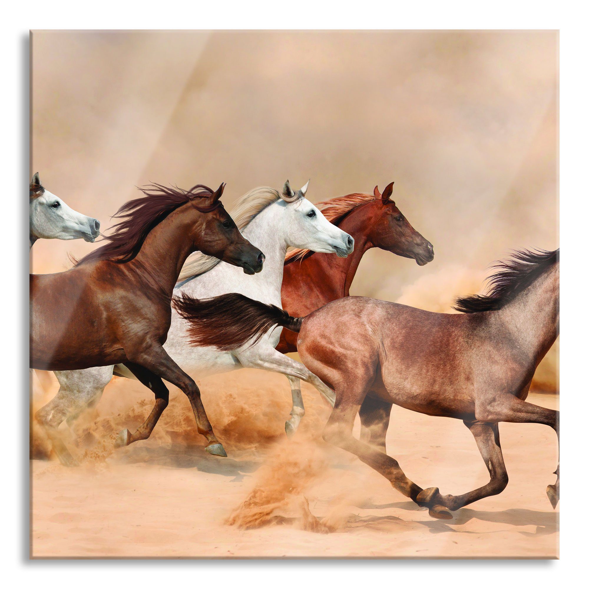 Pixxprint Glasbild Western Pferde in Wüste, Western Pferde in Wüste (1 St), Glasbild aus Echtglas, inkl. Aufhängungen und Abstandshalter | Bilder