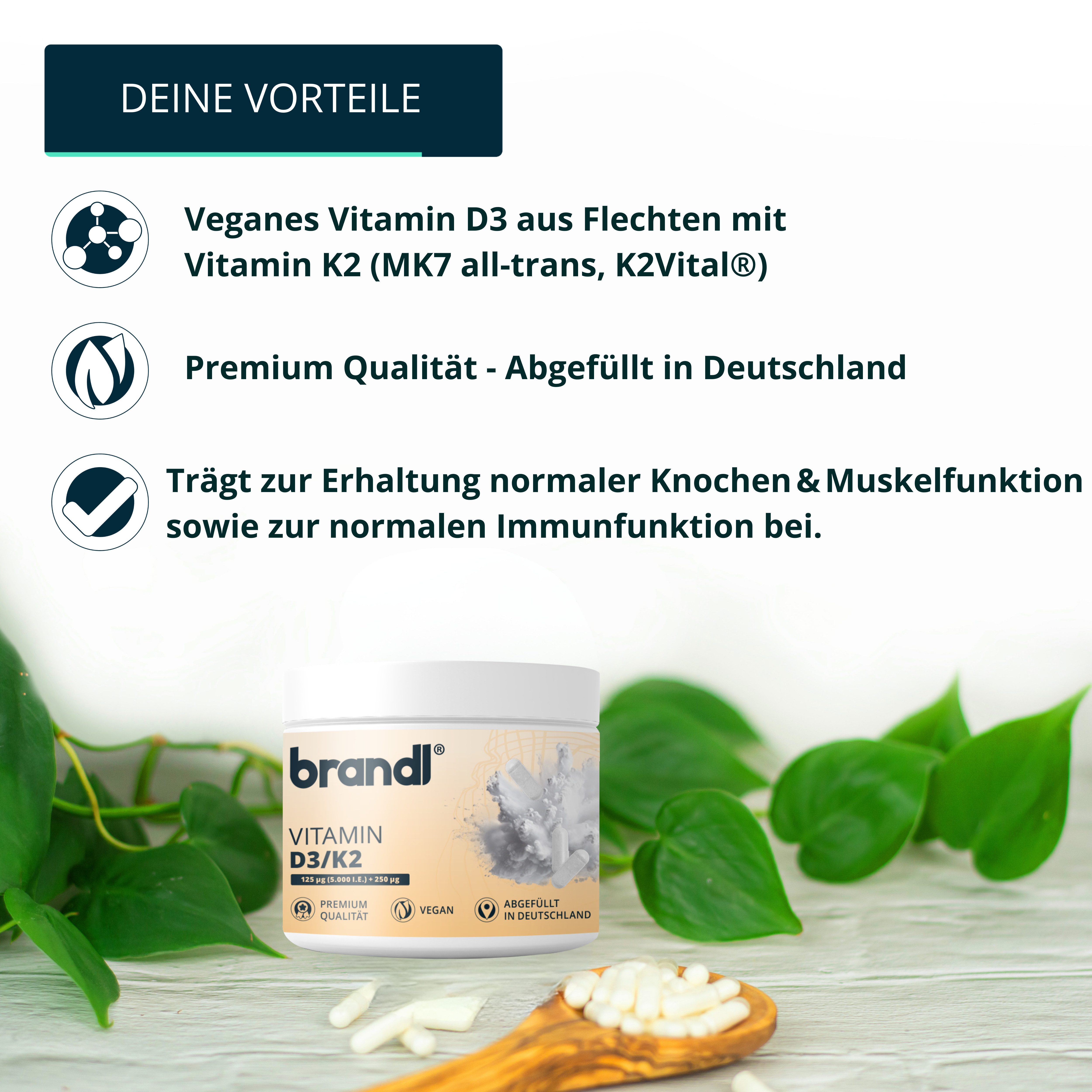 Brandl Nutrition Vitamin D3 K2 Kapseln Vegan mit 5.000 IU D3 und 250μg K2 - hochdosiert Kapseln, 120 er 120 St., hochdosierte Premium Kapseln, laborgeprüft, abgefüllt in DE