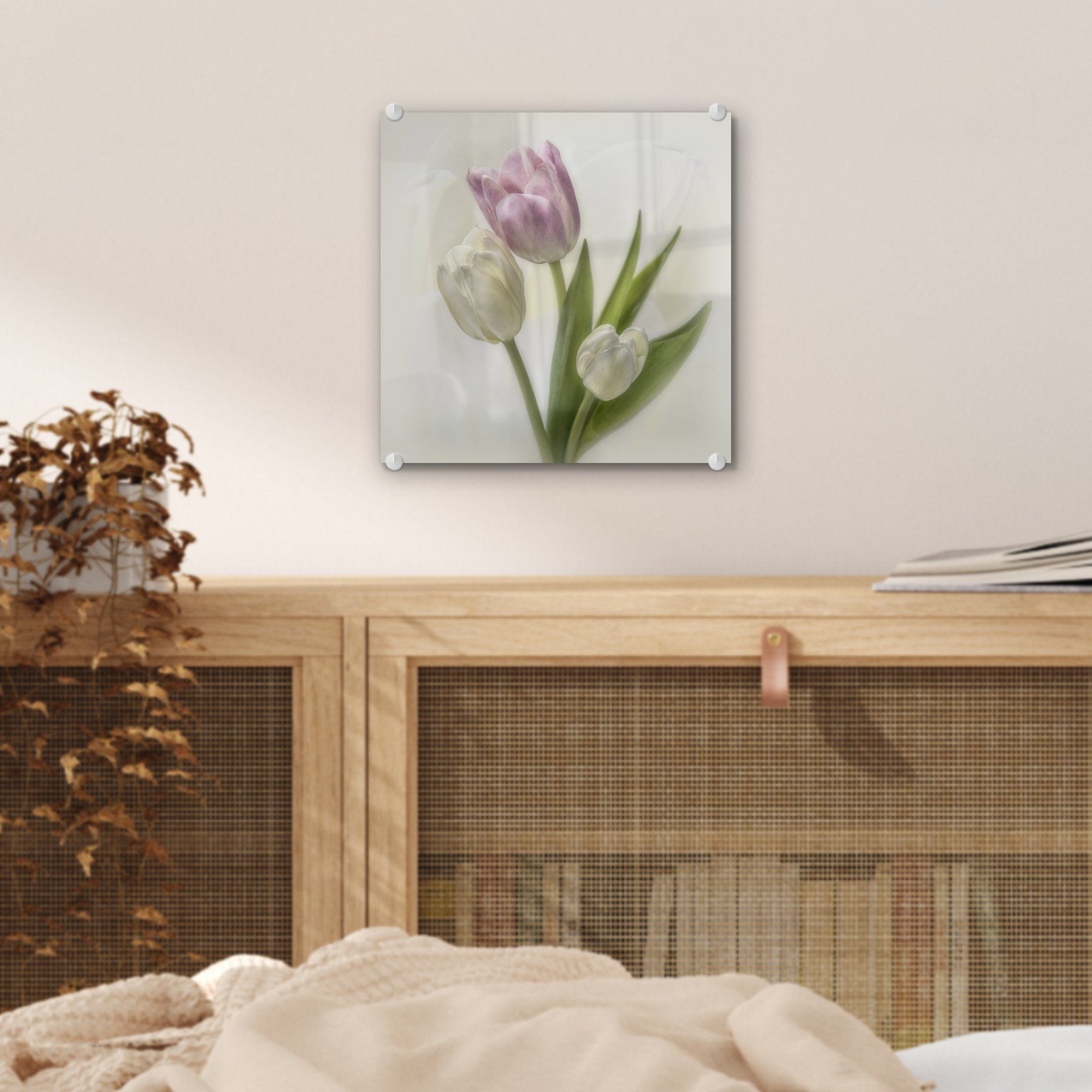 weißem Acrylglasbild Rosa - Bilder (1 St), Hintergrund, Glas Glas - Tulpen Foto auf Wanddekoration Wandbild Glasbilder auf - MuchoWow weiße und auf