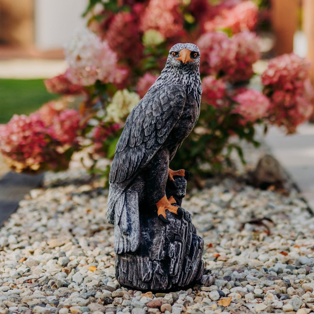 gartendekoparadies.de Gartenfigur Mächtiger Adler, Steinadler, Steinfigur, H. 50 cm, 14 kg (Mehrfarbig), Frostsicher