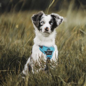 Hunter Tierbedarf Hunde-Geschirr Divo, Polyester