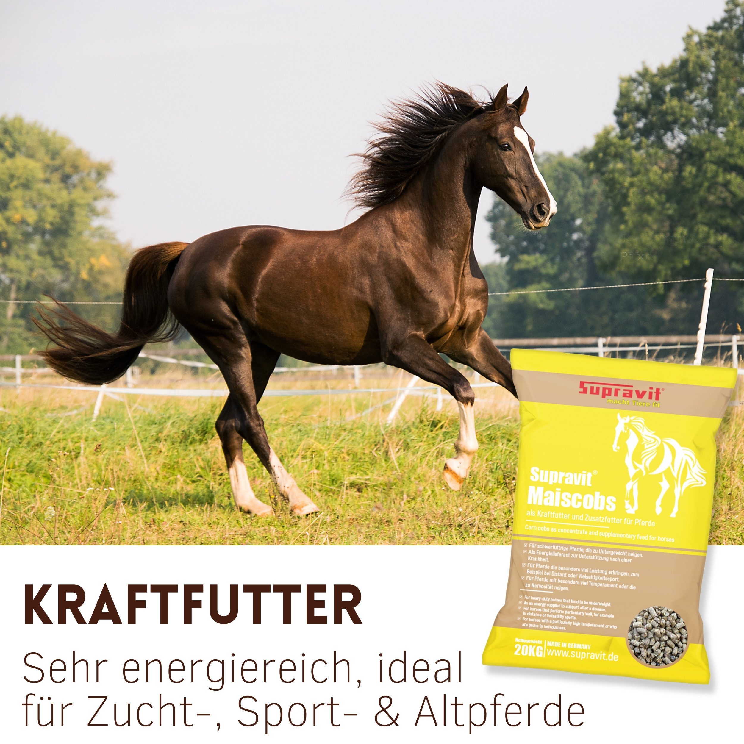 Supravit Maiscobs 20kg - Besonders energiereiches Pferdefutter zur Ergänzung Maiscobs, Ergänzungsfutter für: Pferd
