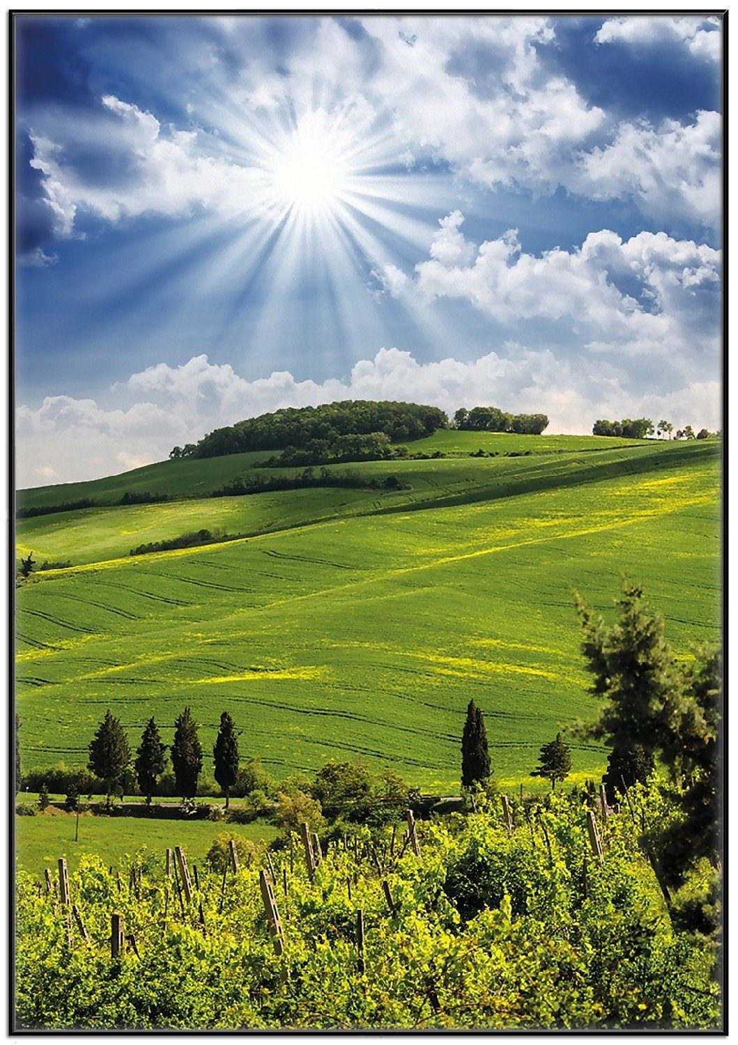 Wallario Poster, Strahlender Sonnenschein, in verschiedenen günstig online kaufen