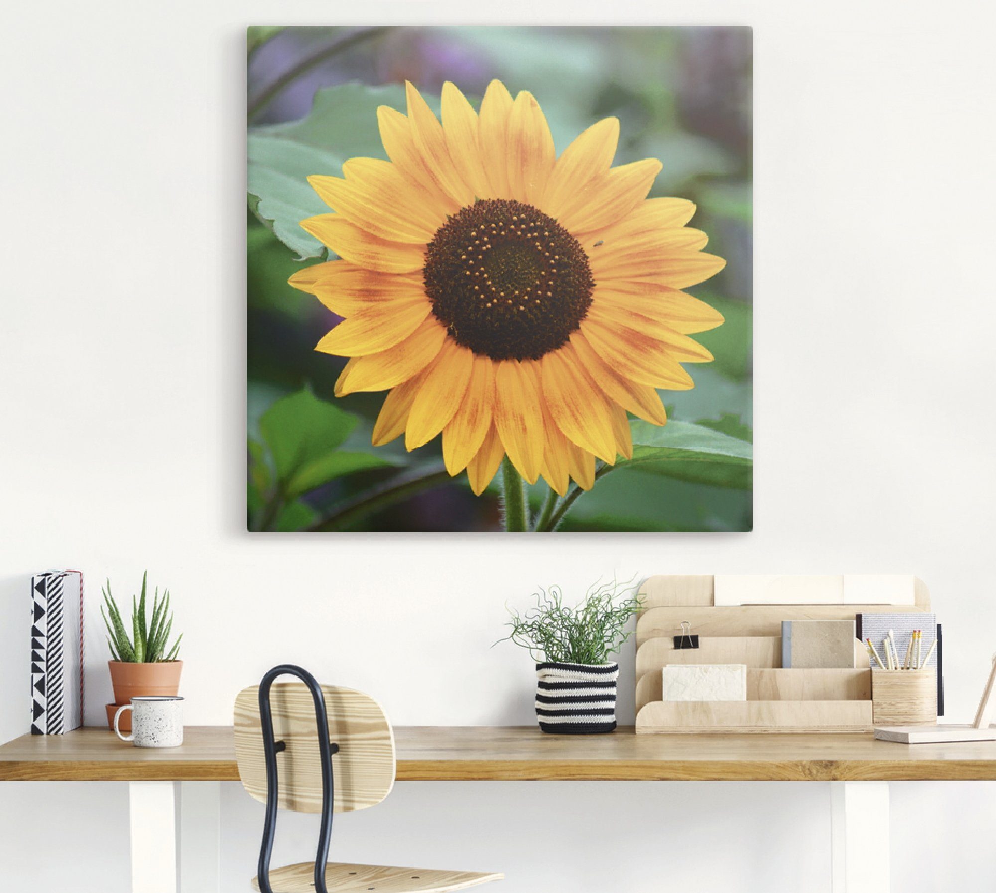 Alubild, oder Blumen Sonnenblume, Größen Artland St), Wandbild Wandaufkleber (1 Poster als versch. Leinwandbild, in