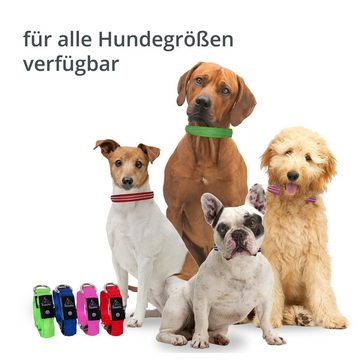 Petsation Hunde-Halsband Leuchthalsband für Hunde [Das Original] Leuchtendes LED Hundehalsband