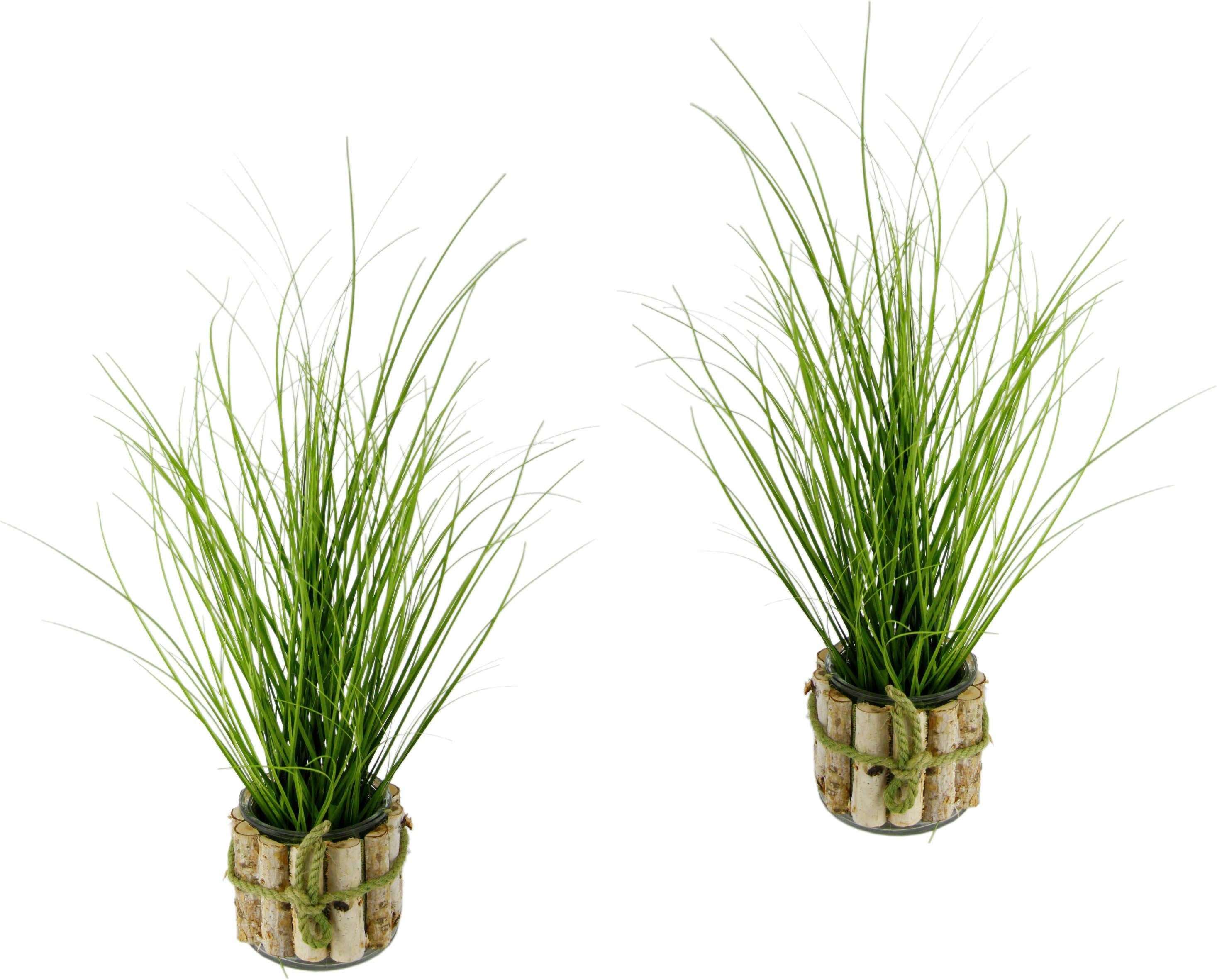 Kunstpflanze Gras, I.GE.A., Höhe 56 cm. Reduzierter Preis € 30,88. Unverbindliche Preisempfehlung € 42,99