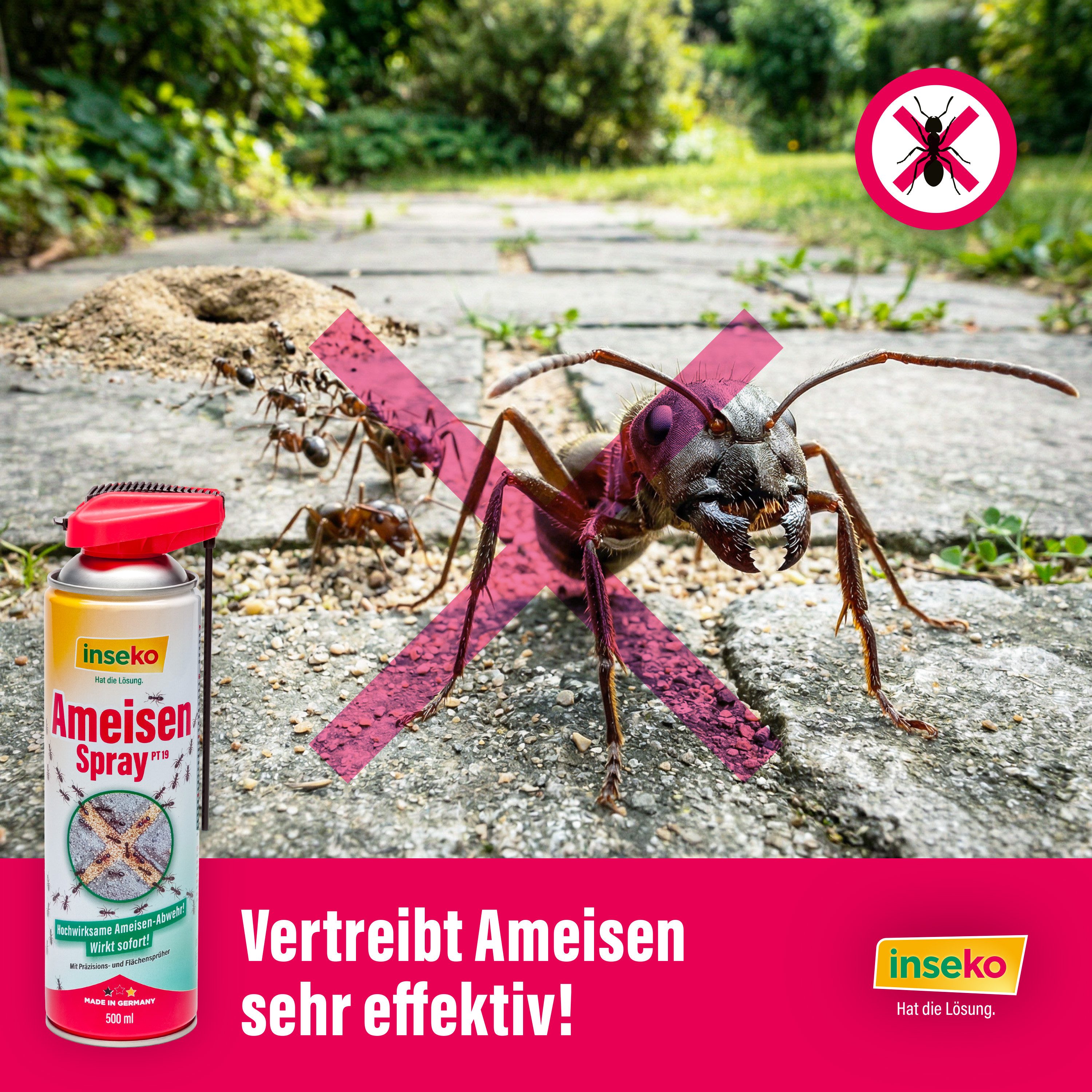 Inseko Insektenspray 1x inseko Ameisenspray 500 ml - effektive Sofortwirkung (PT19), 1-St., gegen Ameisen und Ameisennester – Bild 5 von 5
