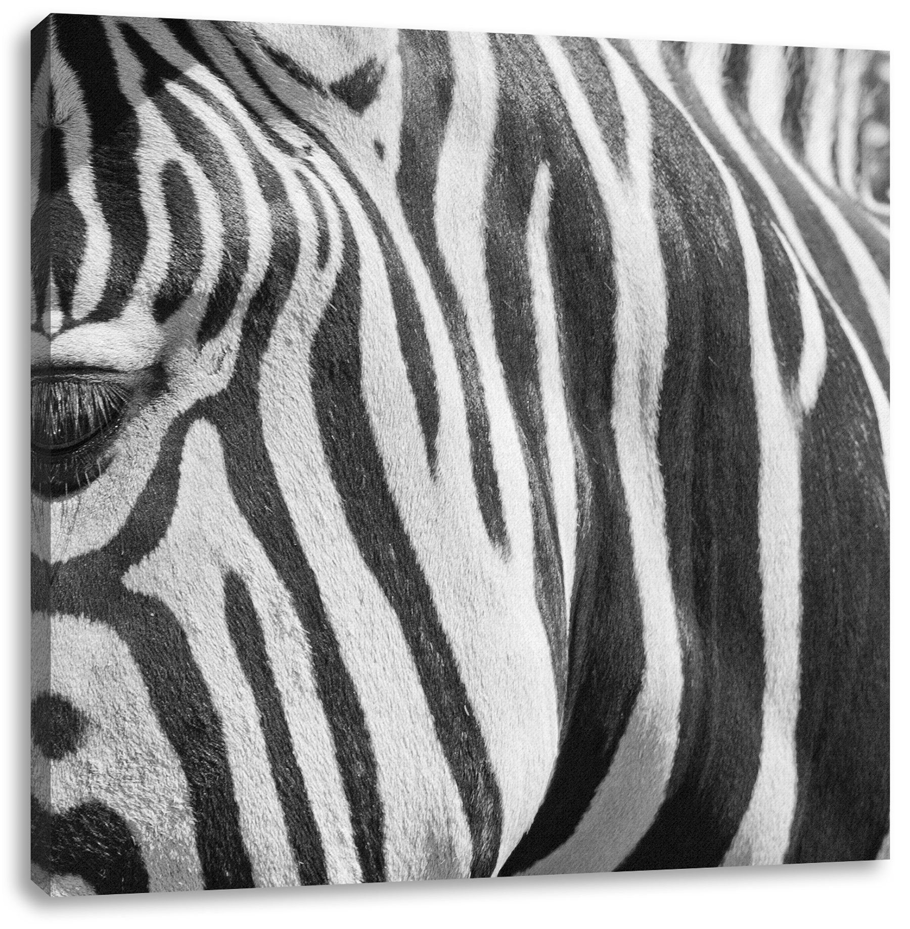 Porträt Leinwandbild Zebra (1 inkl. fertig St), bespannt, Pixxprint Leinwandbild Porträt, Zebra Zackenaufhänger