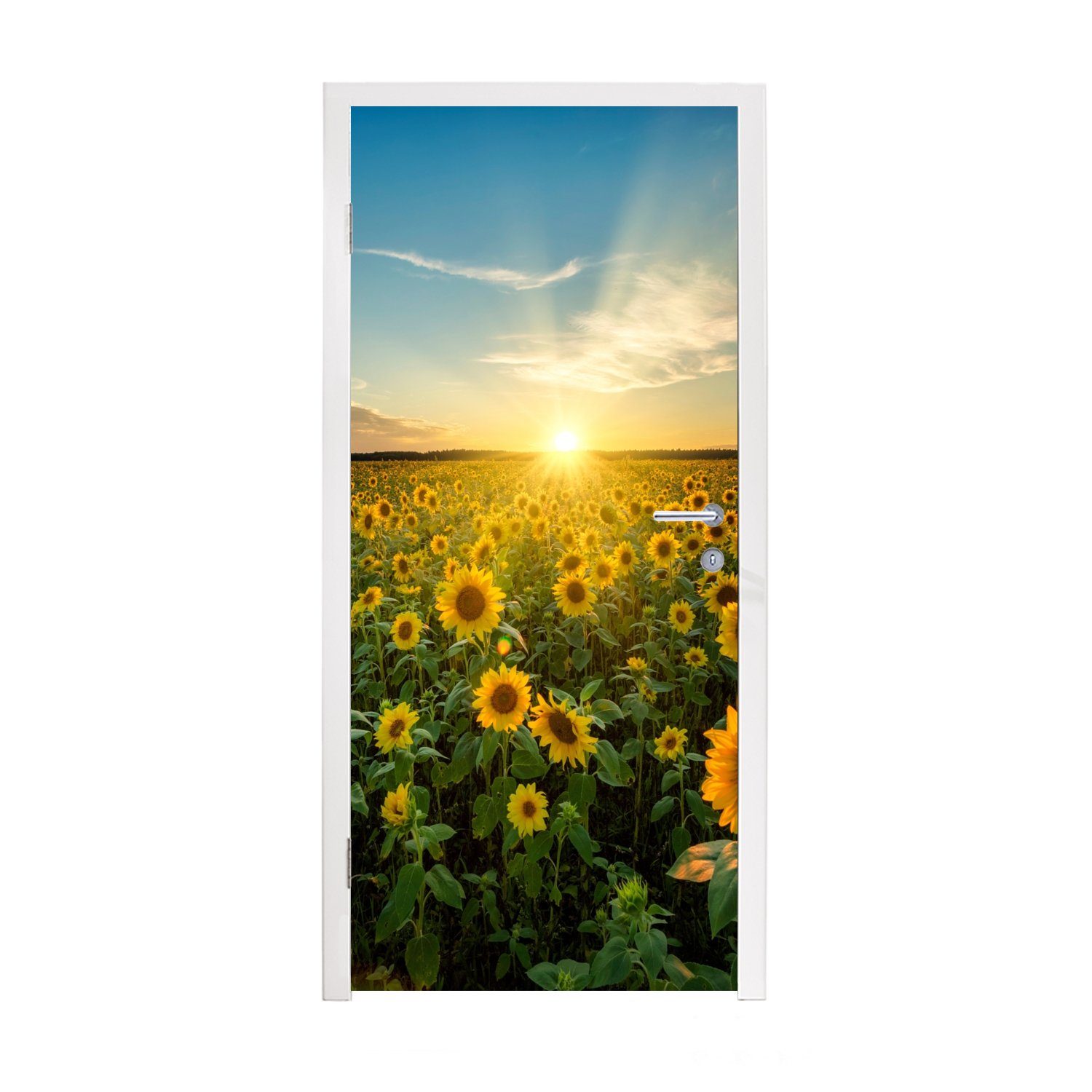 MuchoWow Türtapete Sonnenuntergang - Blumen - Sonnenblume - Horizont - Landschaft, Matt, bedruckt, (1 St), Fototapete für Tür, Türaufkleber, 75x205 cm