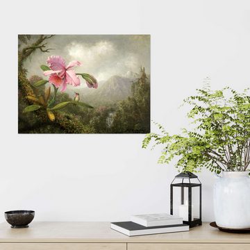 Posterlounge Wandfolie Martin Johnson Heade, Orchidee und Kolibri, Malerei