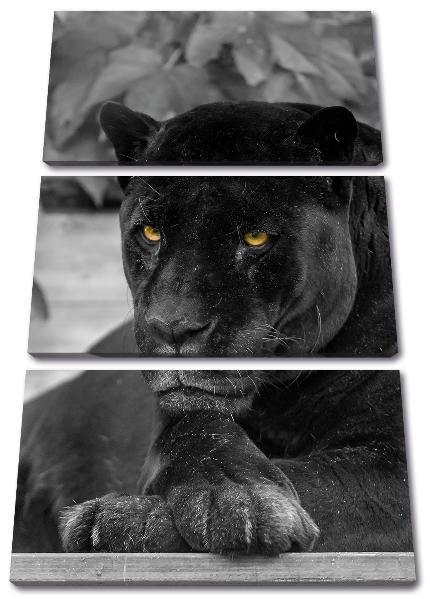 Pixxprint Leinwandbild schwarzer Panther, inkl. bespannt, St), schwarzer Panther (1 Zackenaufhänger Leinwandbild (120x80cm) fertig 3Teiler