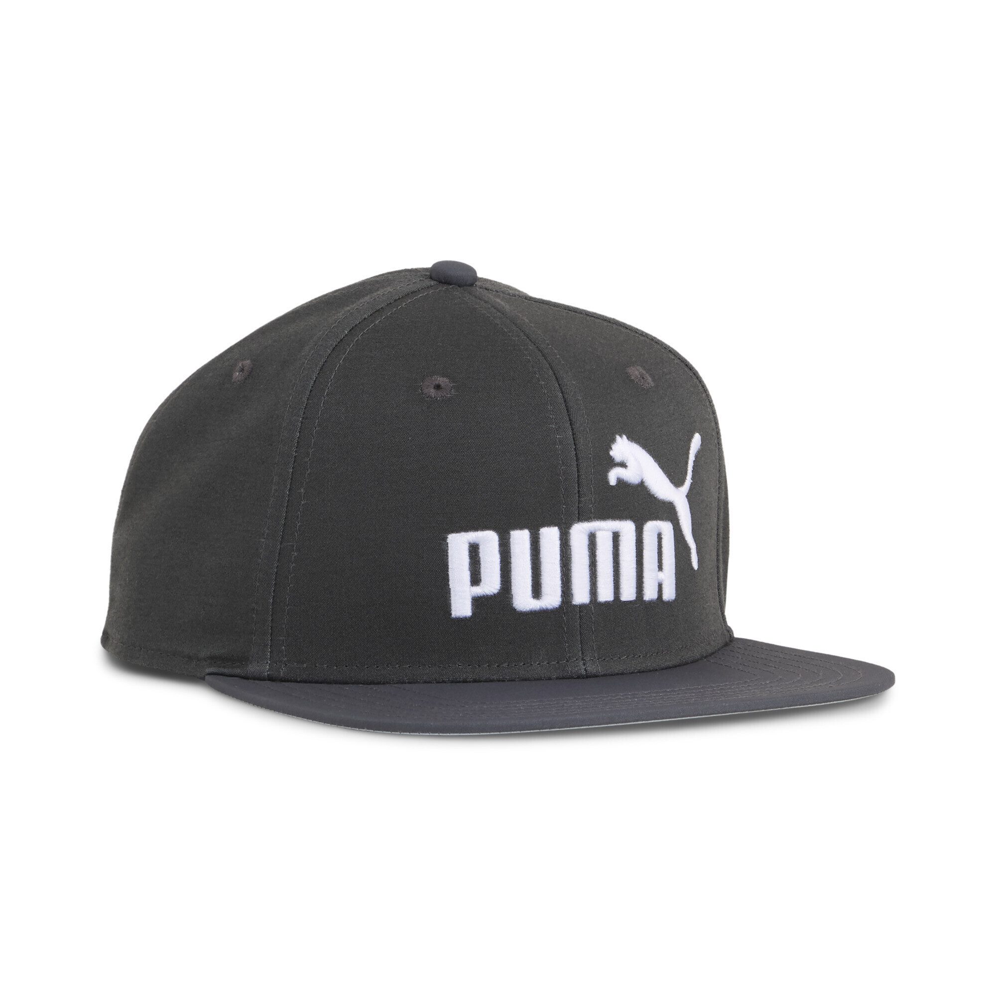 PUMA Flex Cap ESS No. 1 Logo Cap mit flachem Schirm Erwachsene günstig online kaufen