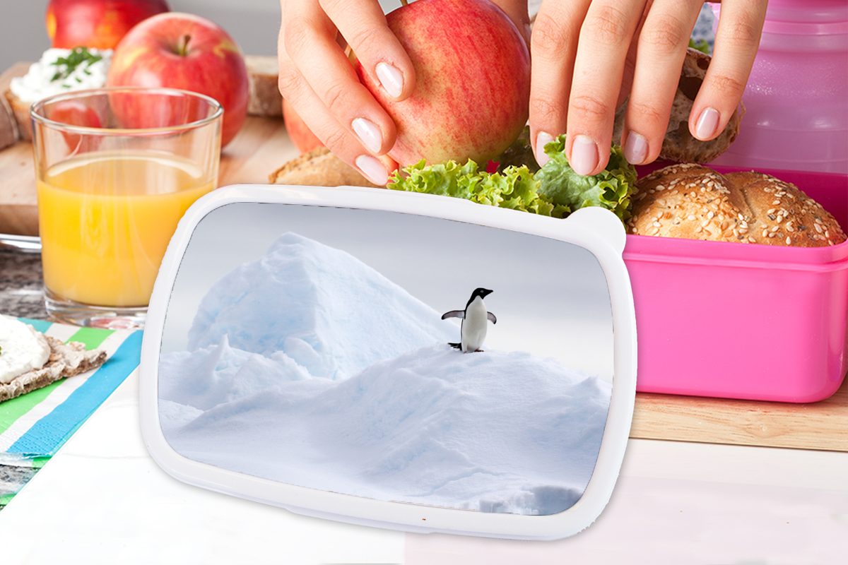 Snackbox, - Winter, Erwachsene, (2-tlg), Lunchbox Kunststoff Brotbox Kinder, für MuchoWow Eis Pinguin rosa Kunststoff, Brotdose - Mädchen,