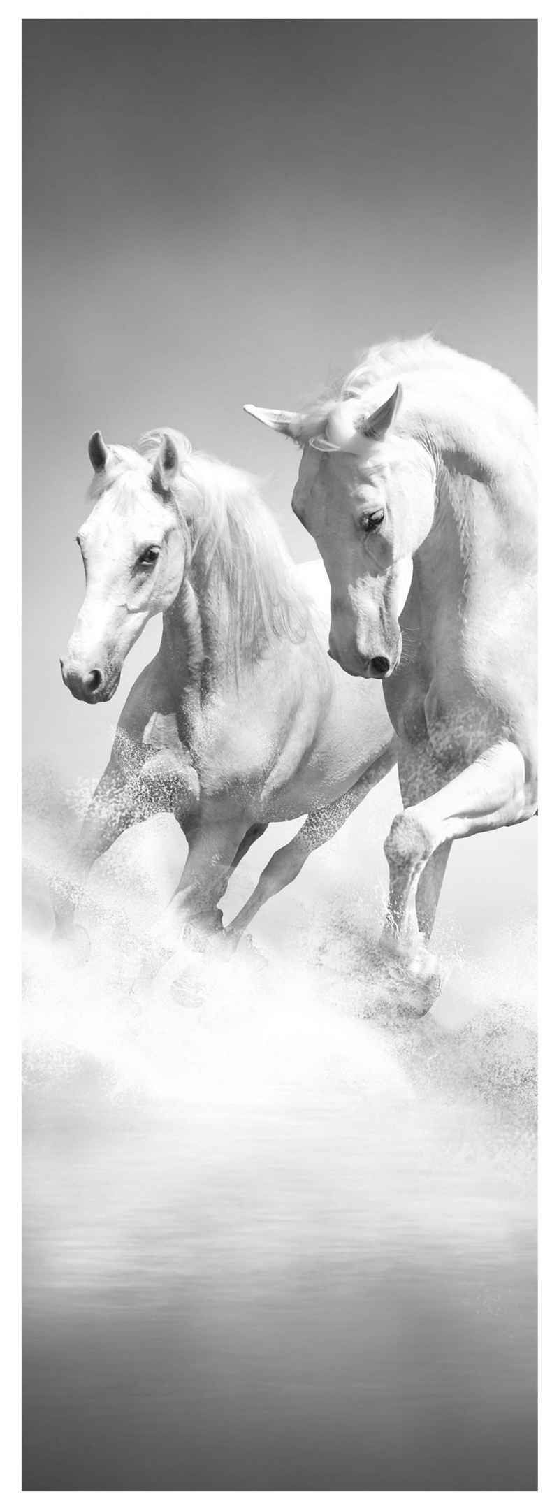 wandmotiv24 Türtapete weiße Traumpferde, glatt, Fototapete, Wandtapete, Motivtapete, matt, selbstklebende Dekorfolie