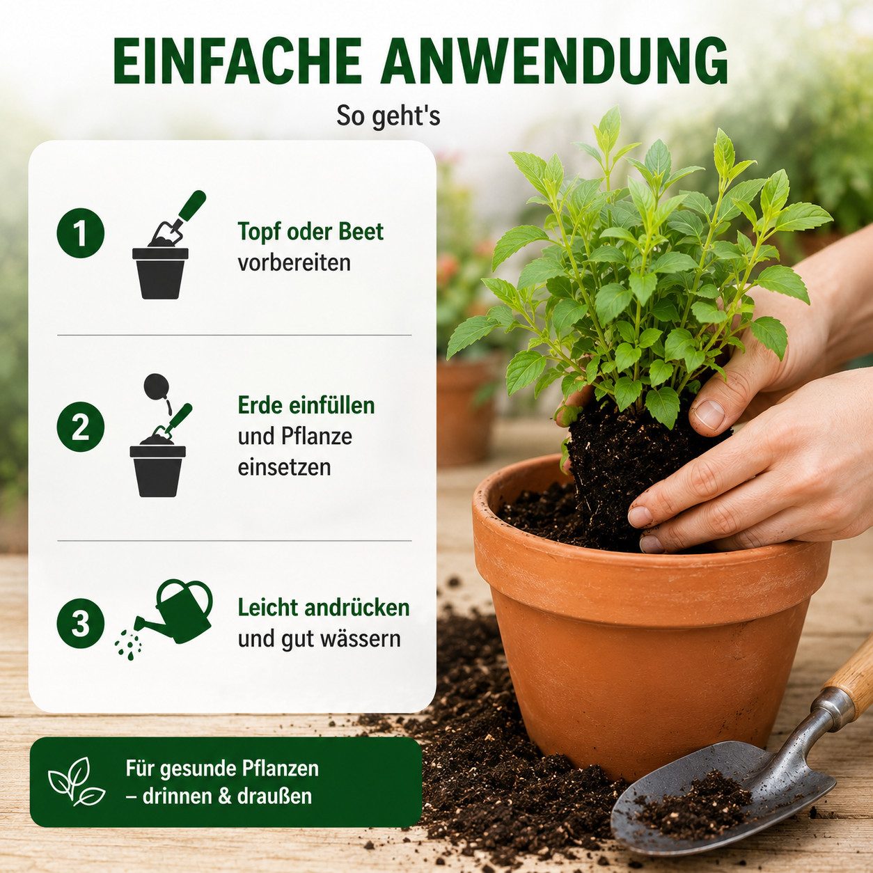 Best for Home Bio-Erde Bio-Blumenerde – Torffrei, für Zimmer- & Balkonpflanzen Universalerde, mit Organische Pflanzerde, (Einzelartikel, 1-St., 20L / 50L Sack), – Bild 5 von 5