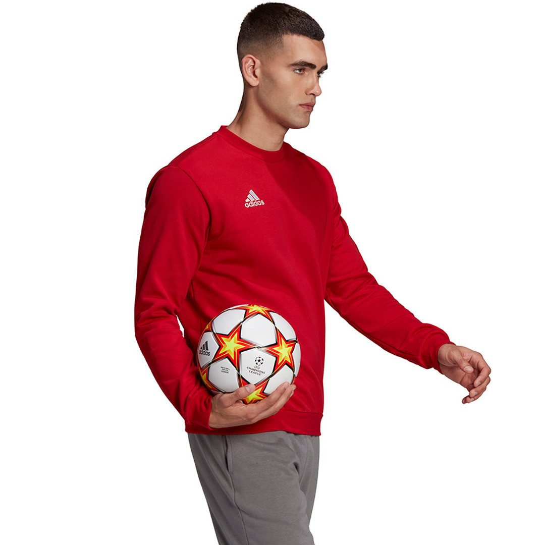 adidas Performance Sweatshirt Entrada 22