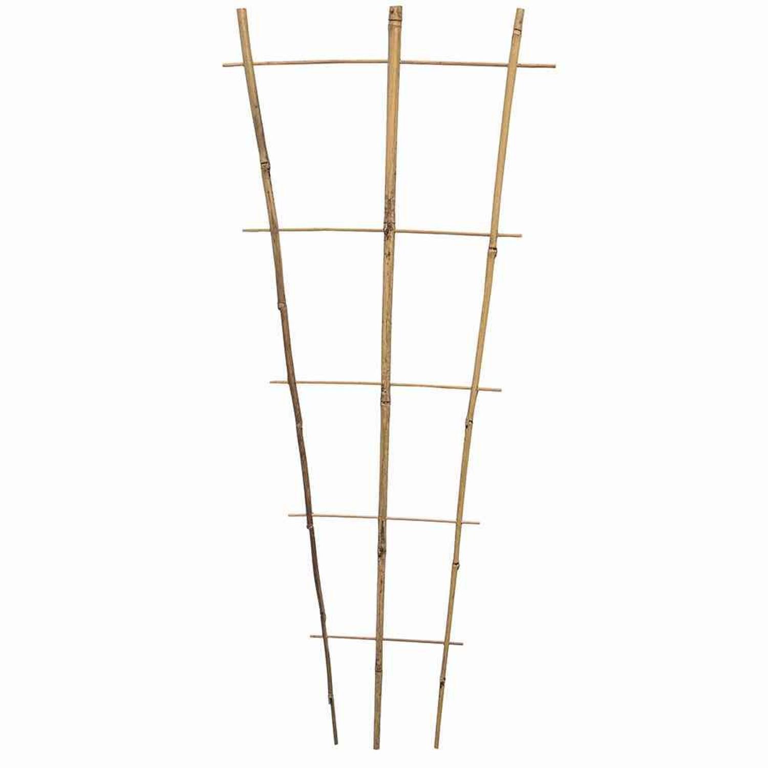 Siena Garden Rankgitter Bambus Rankgitter 85 günstig online kaufen